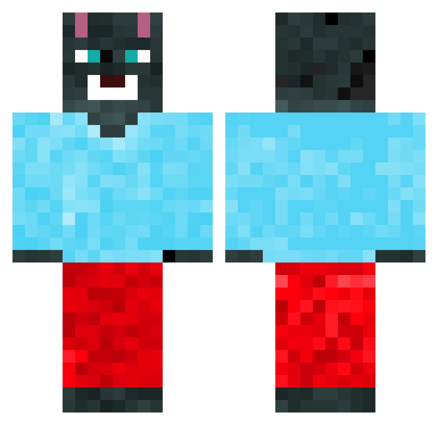 catzop Minecraft skin, front and back view