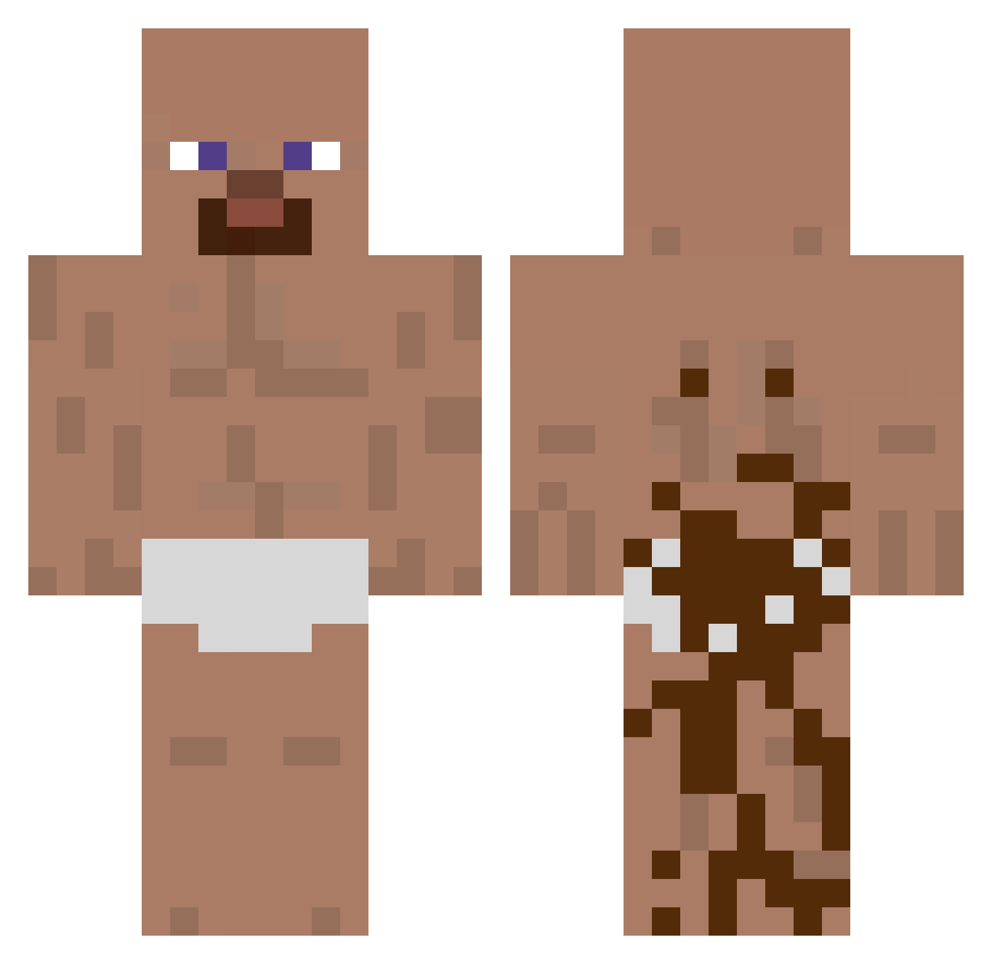 TLDW Minecraft skin, front and back view