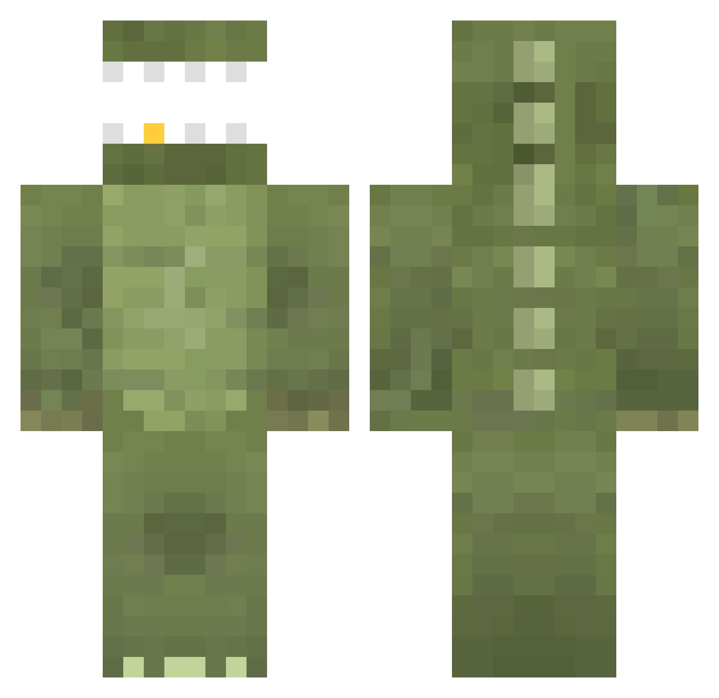 Pubico Minecraft skin, front and back view