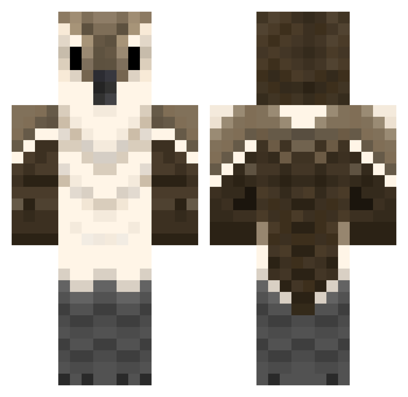 cinclode Minecraft skin, front and back view