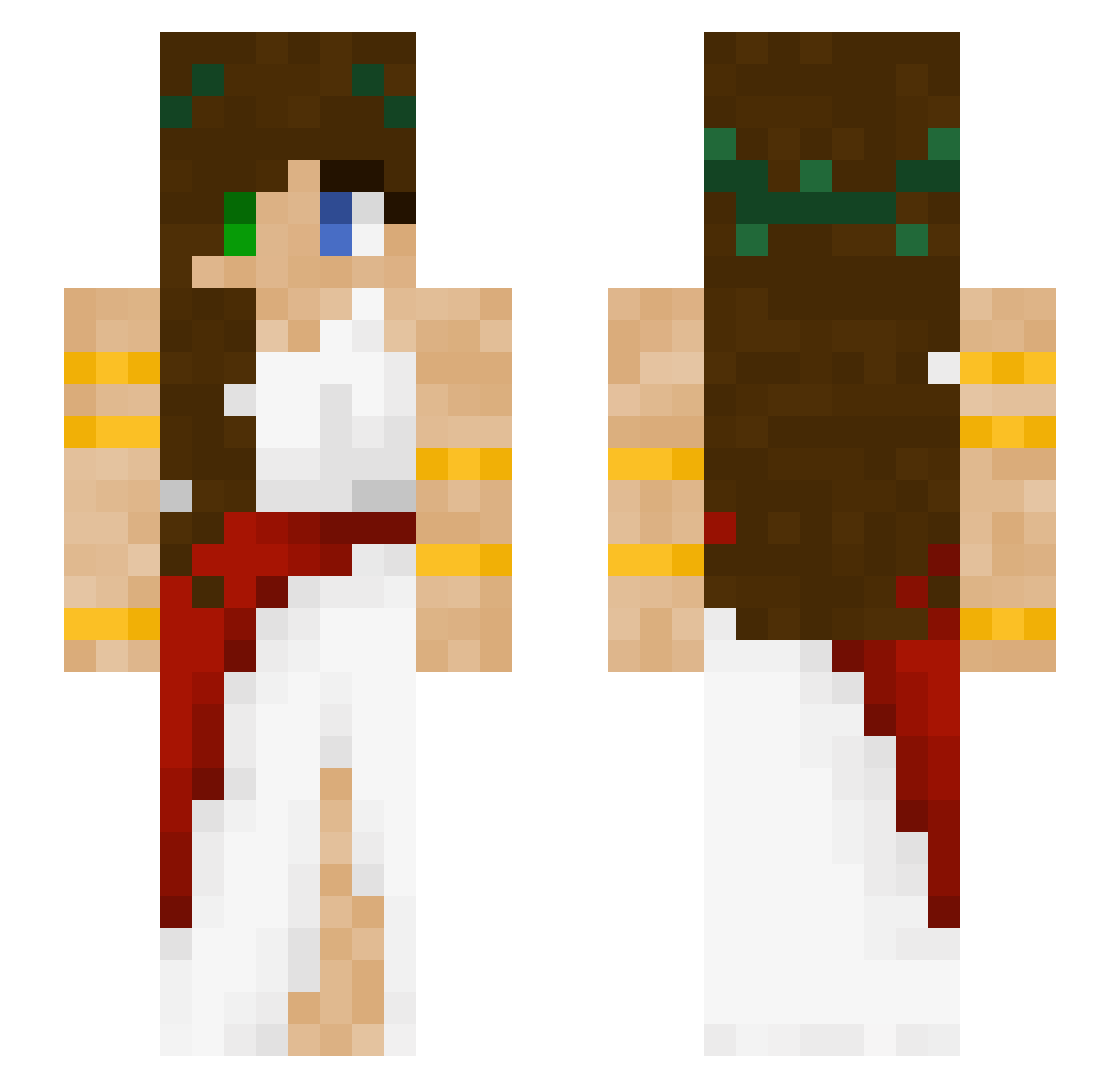 _Pengun Minecraft skin, front and back view