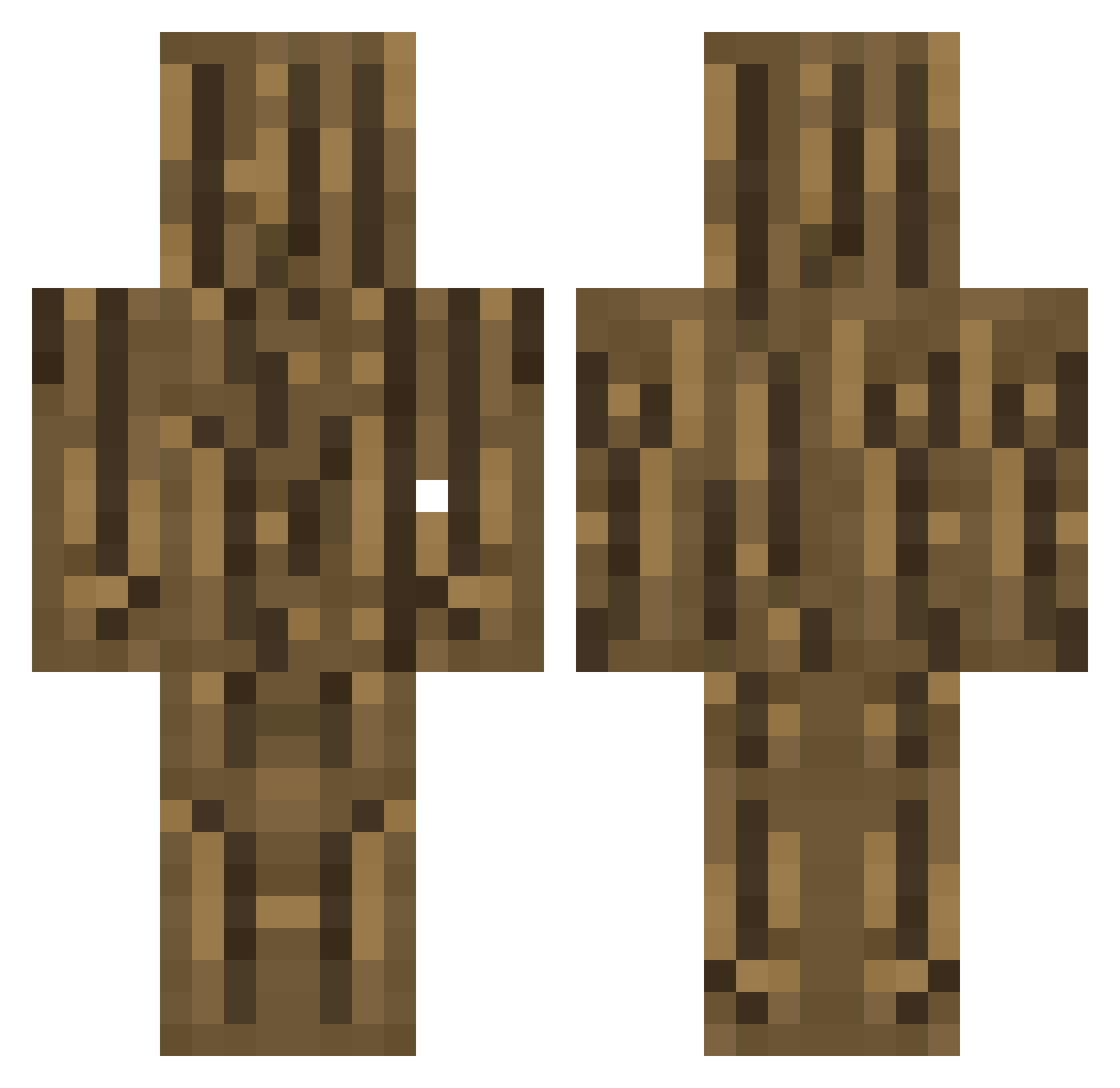 andrezin123 Minecraft skin, front and back view