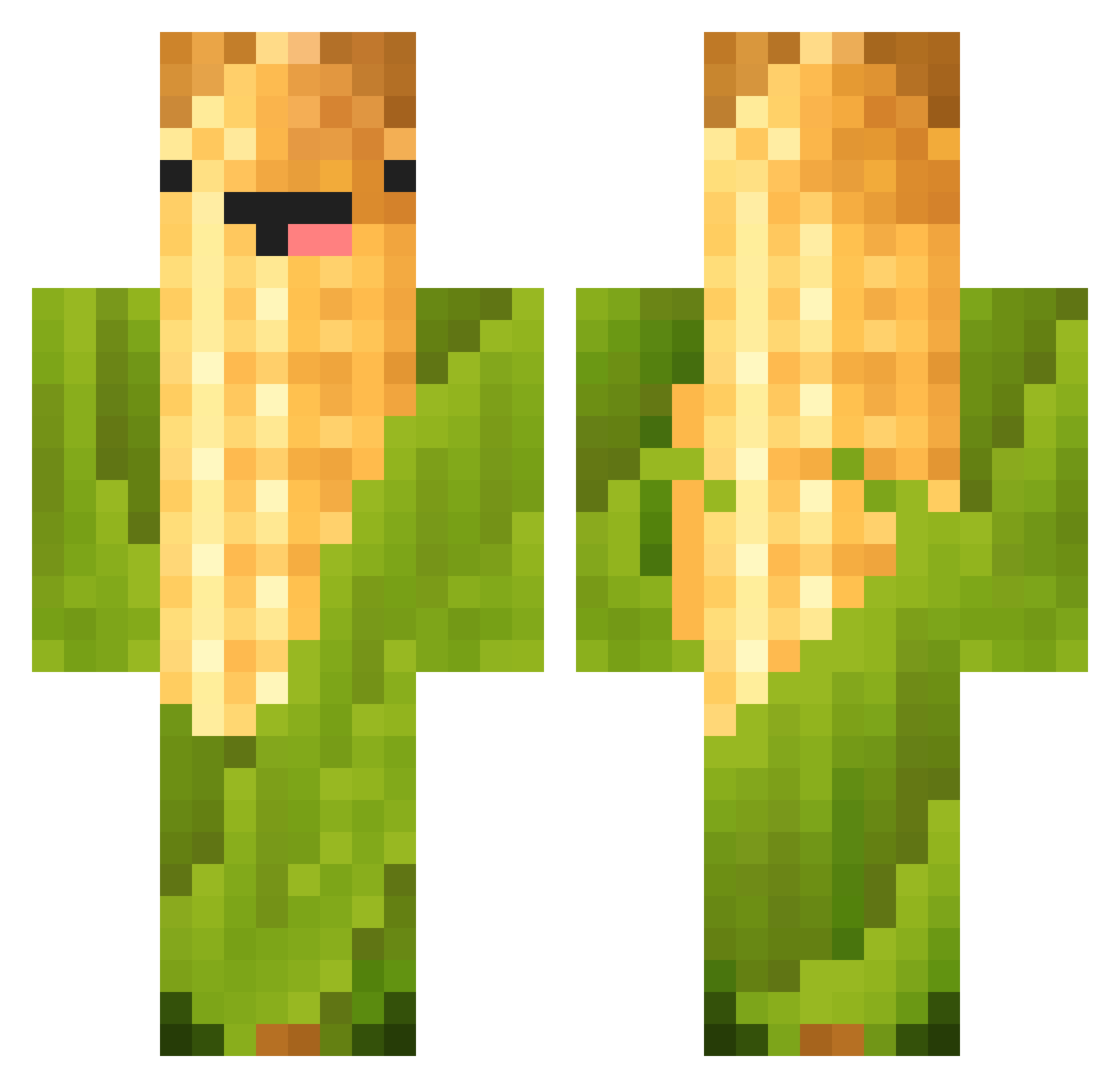 ACR_Music Minecraft skin, front and back view