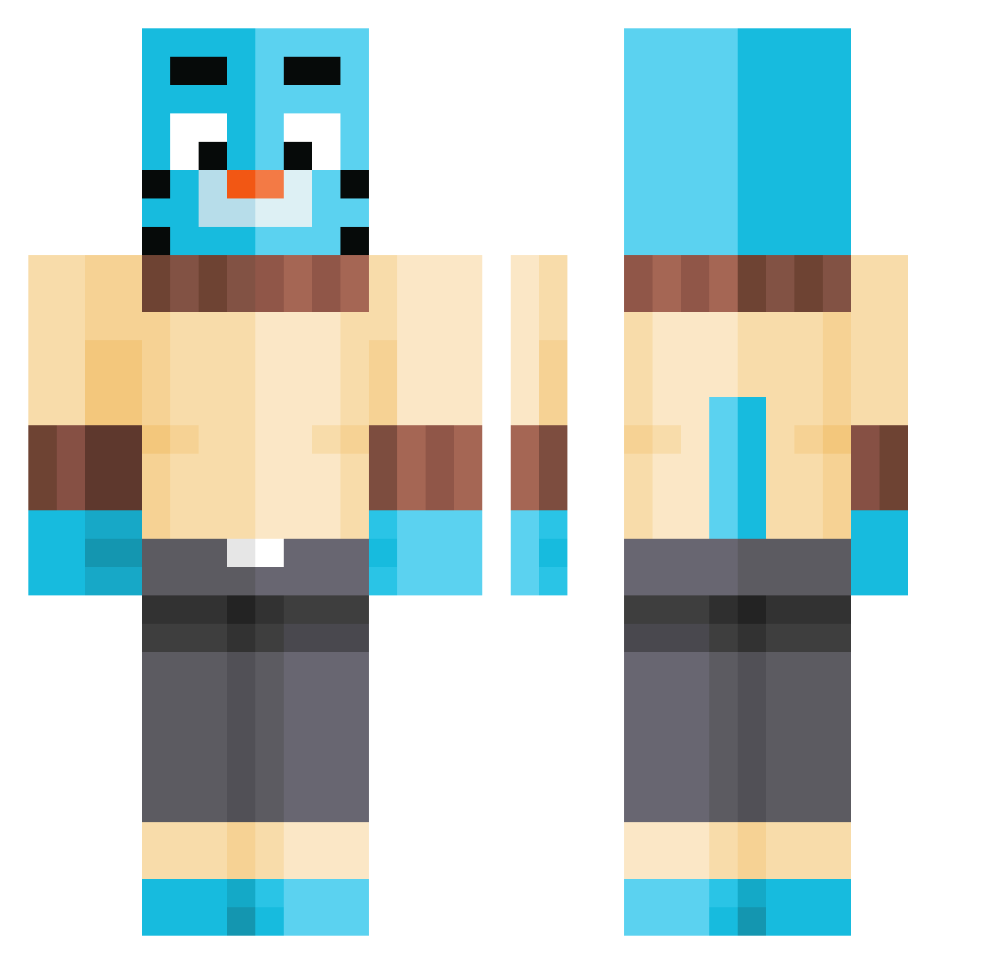 VLHONG Minecraft skin, front and back view