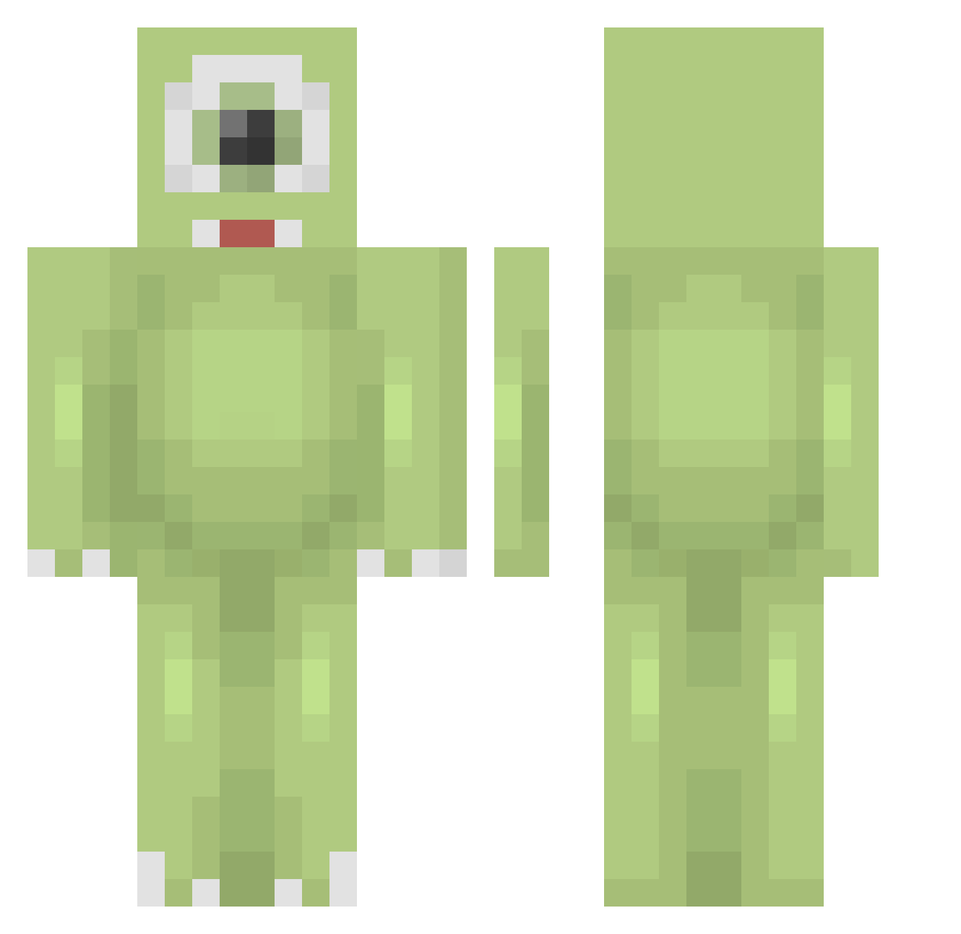 Misiudominisiu Minecraft skin, front and back view