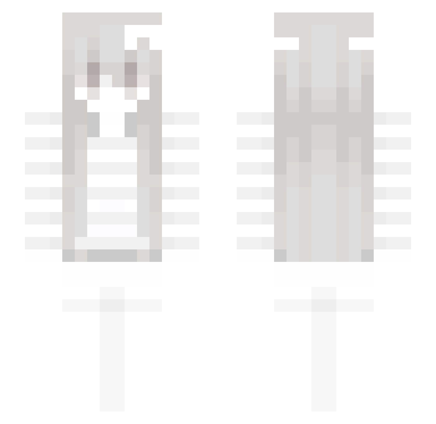 rattim Minecraft skin, front and back view