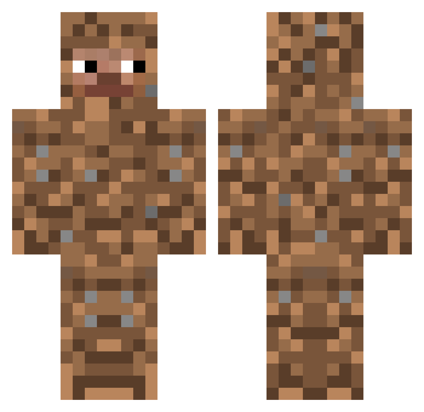 Dailec Minecraft skin, front and back view