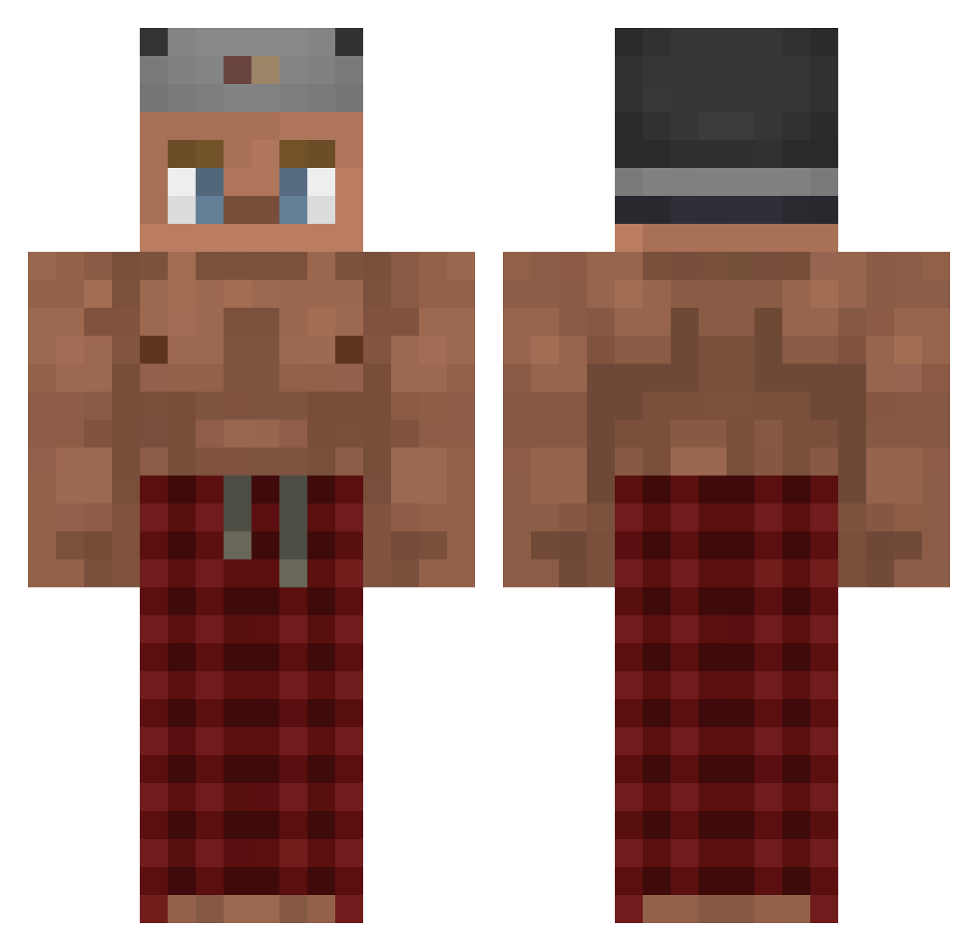 ViggenW Minecraft skin, front and back view