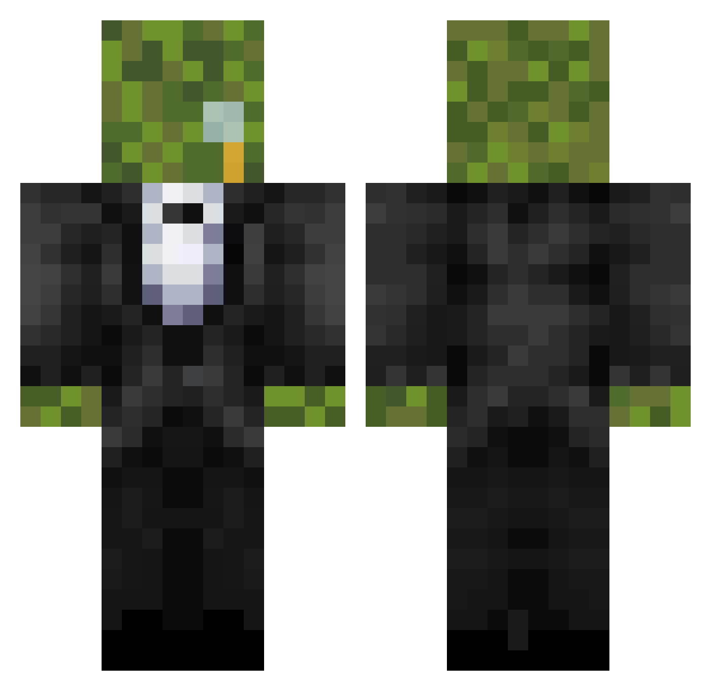 Lichenoid Minecraft skin, front and back view