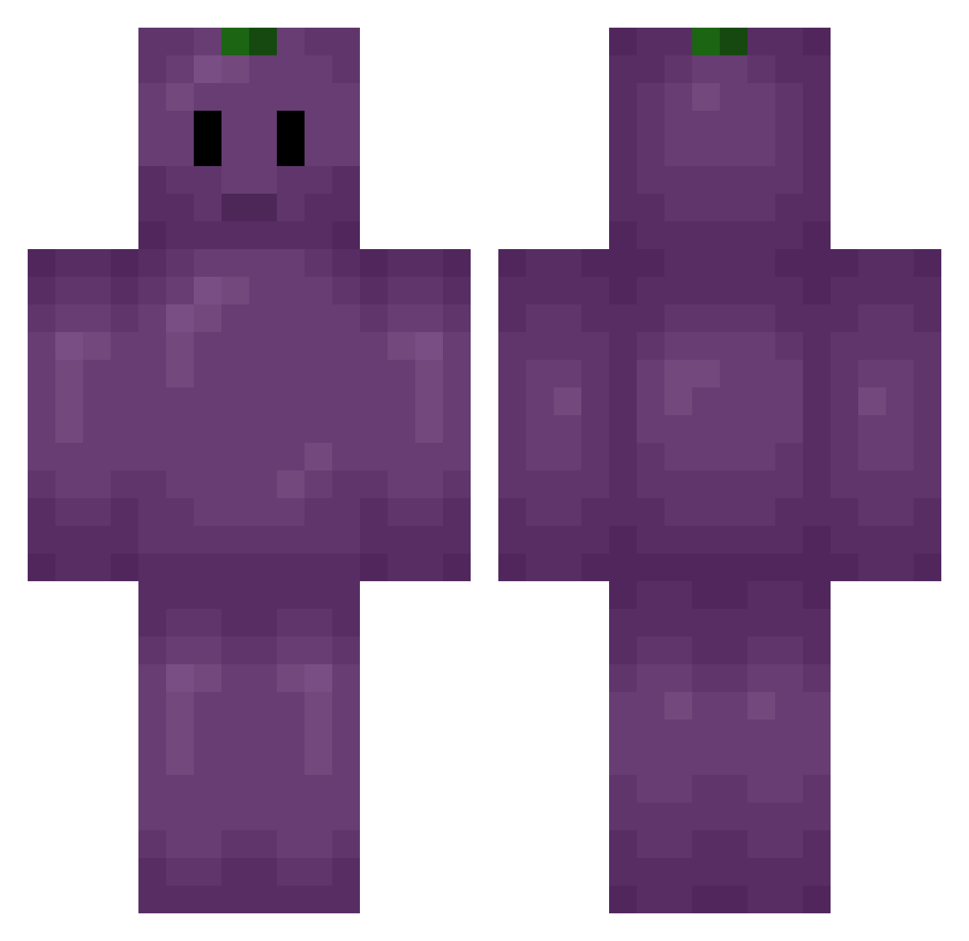 TokuGoo Minecraft skin, front and back view