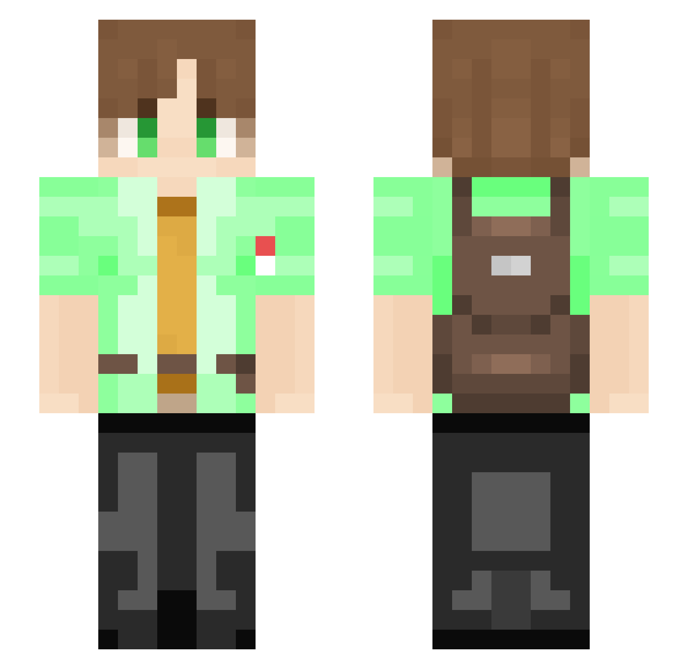 Quillion245 Minecraft skin, front and back view