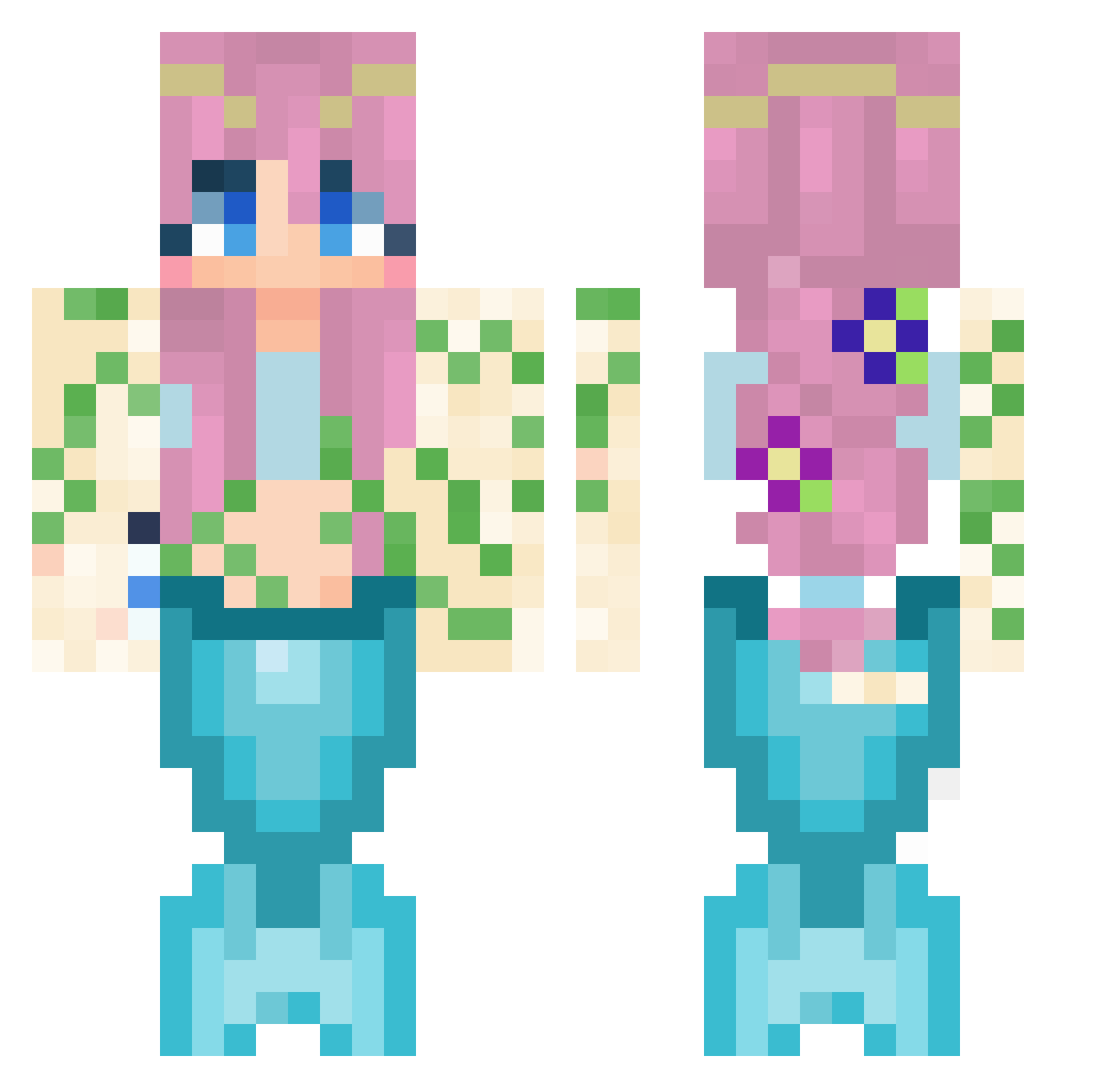 Nimoursporc Minecraft skin, front and back view