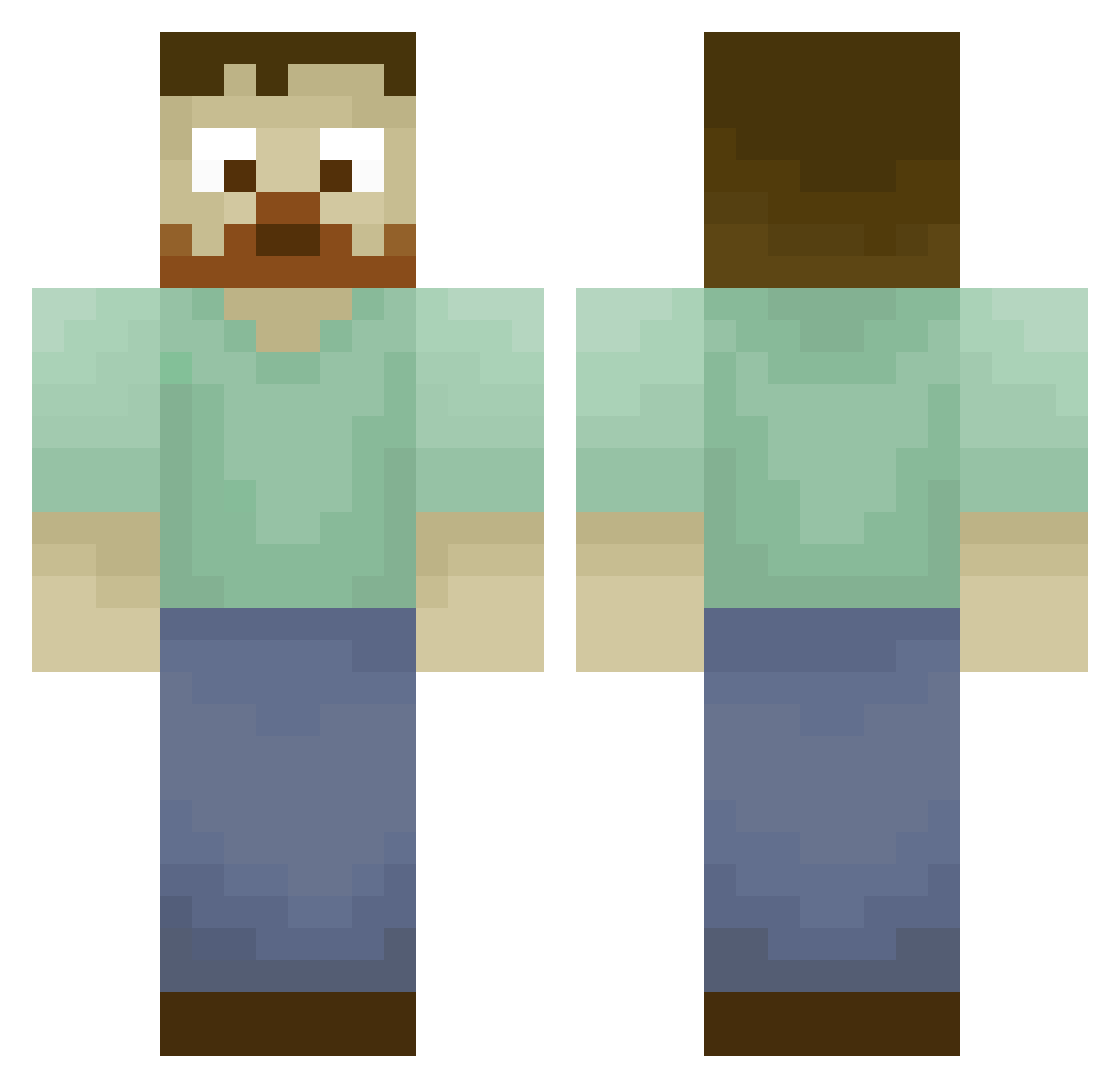 svle45 Minecraft skin, front and back view