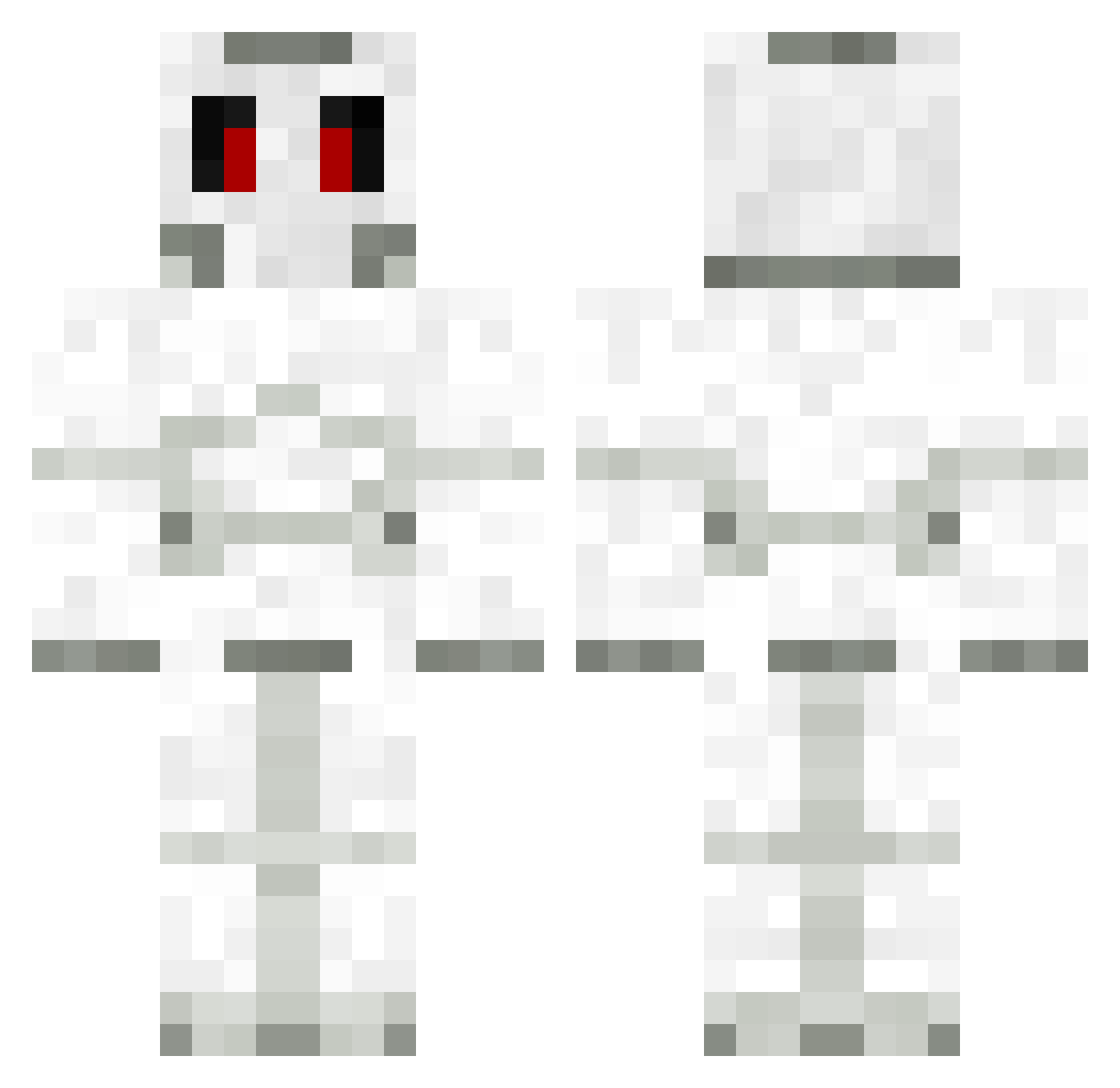 TERRY939 Minecraft skin, front and back view