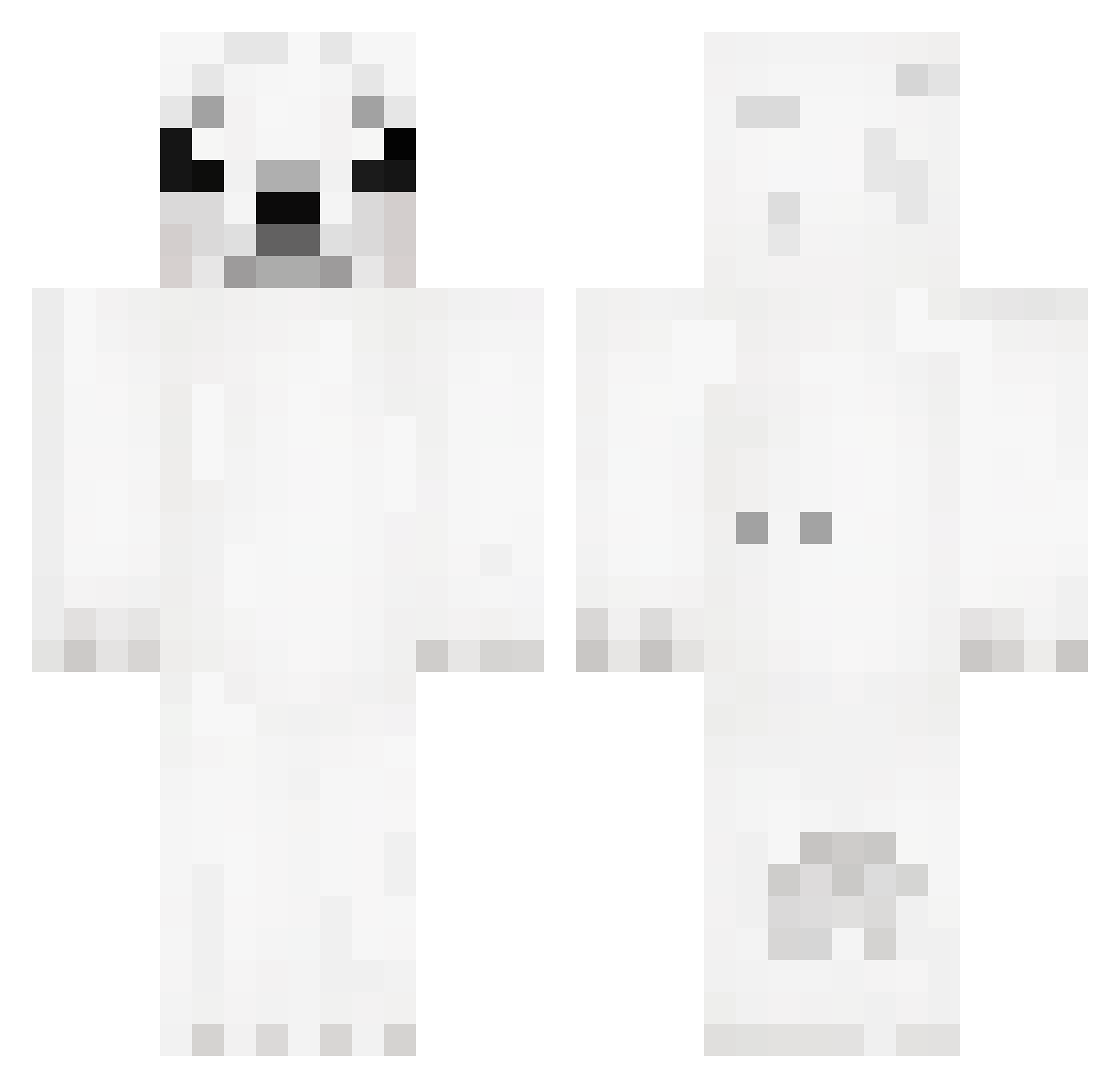 _LOLcat_of_doom_ Minecraft skin, front and back view
