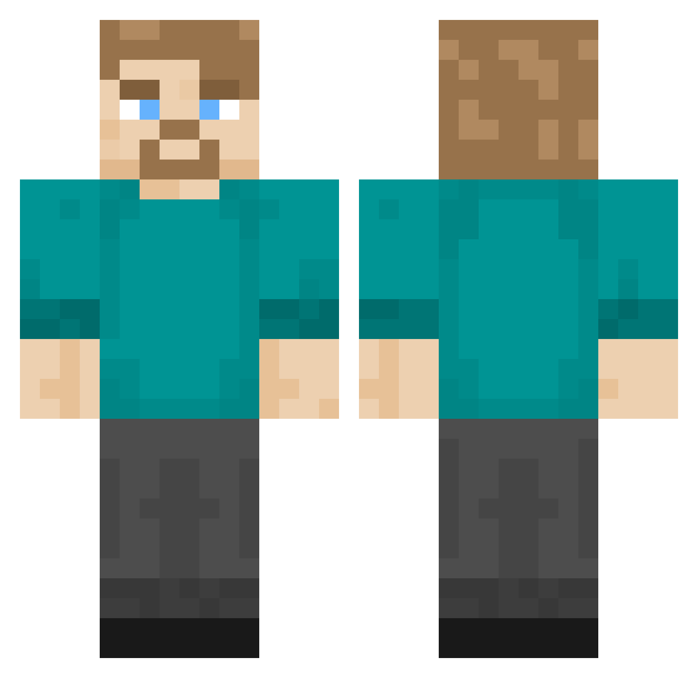 TerraGuild Minecraft skin, front and back view