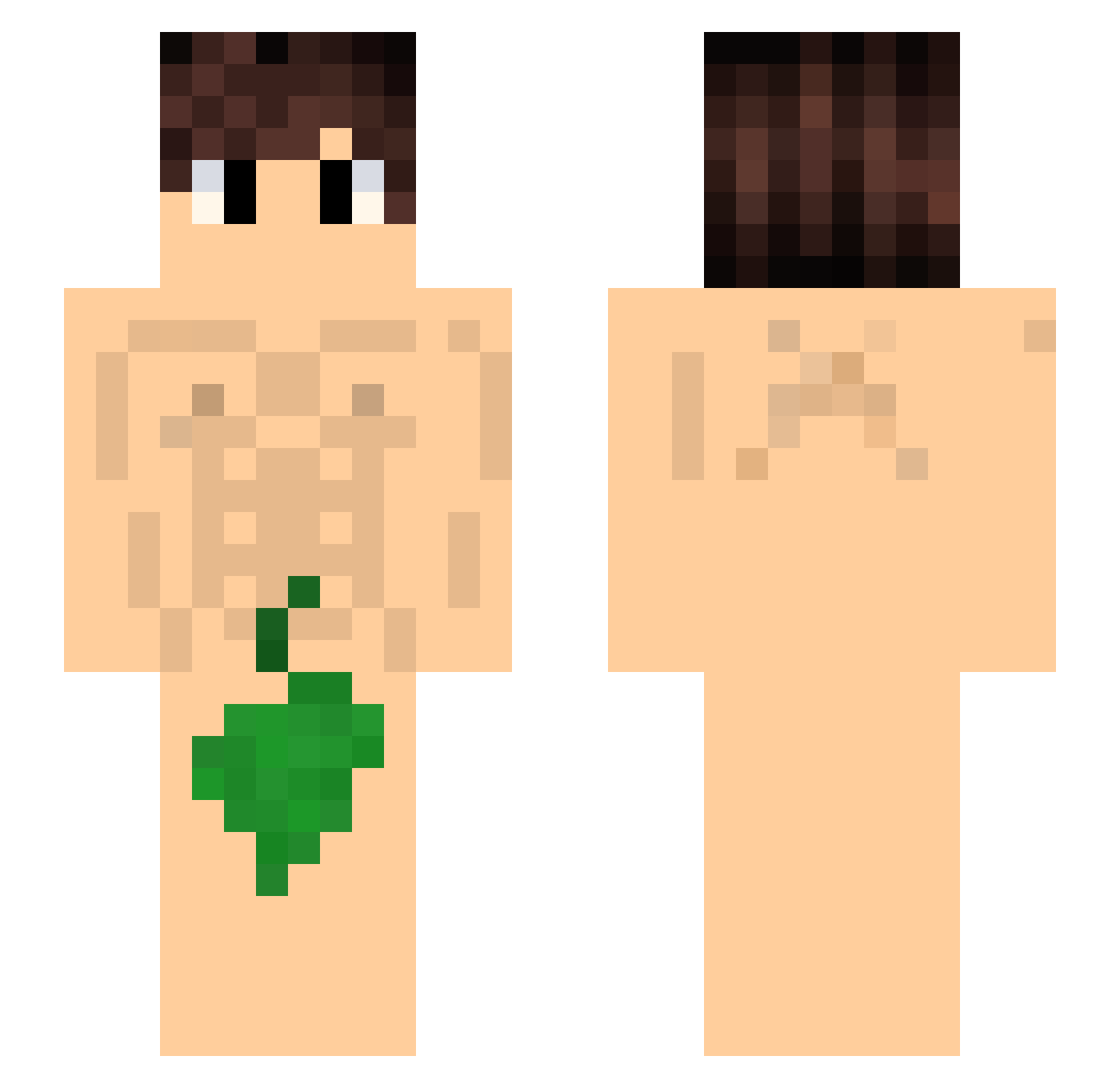 Olllllll Minecraft skin, front and back view