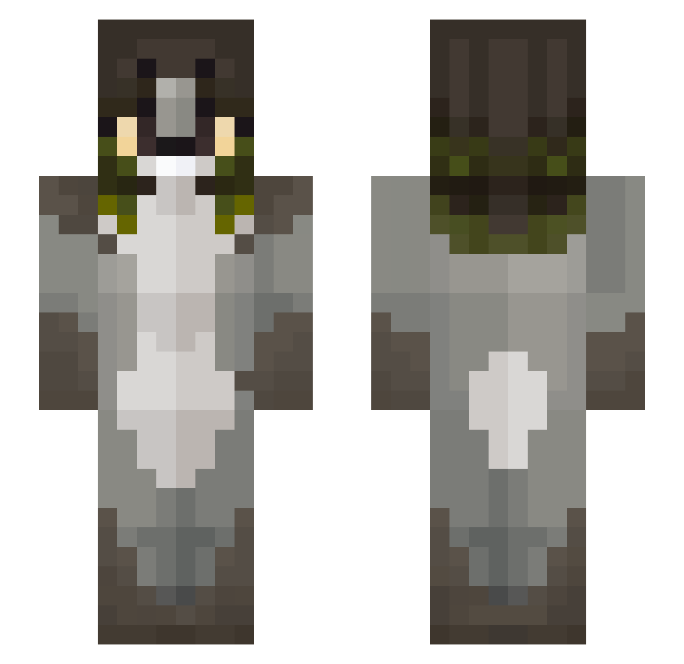 ambwer Minecraft skin, front and back view