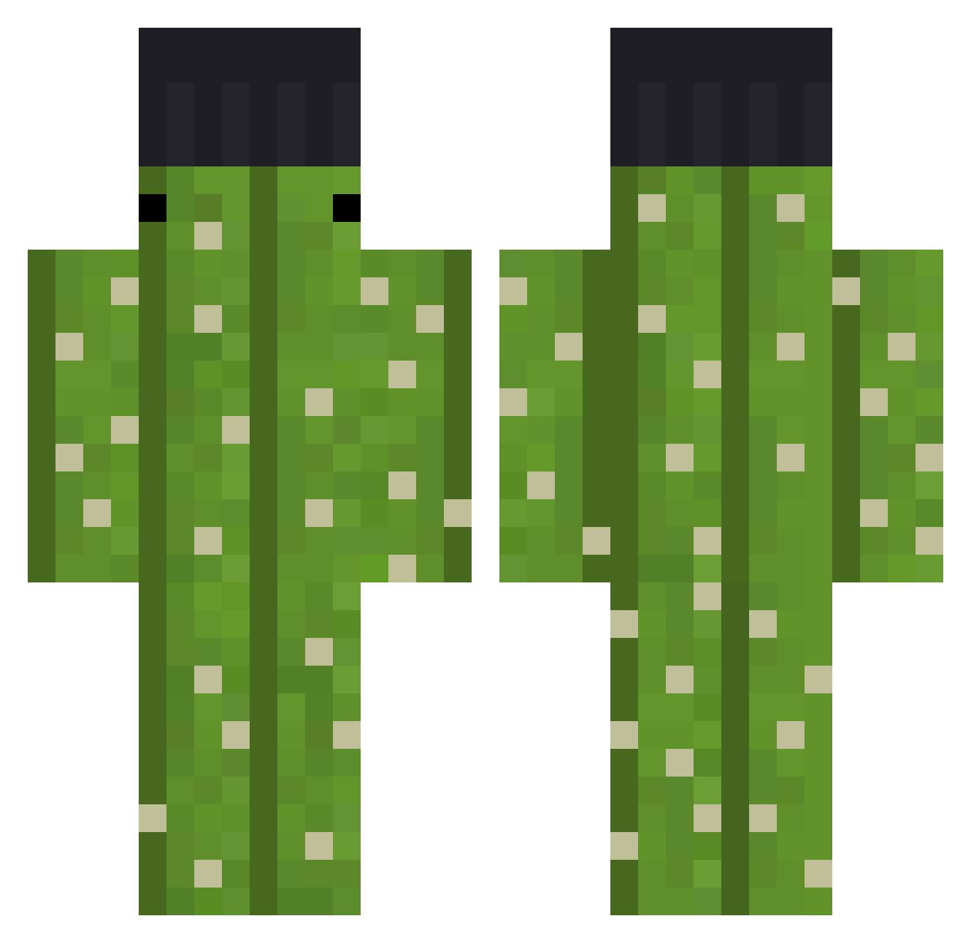 TheEvilCactus Minecraft skin, front and back view