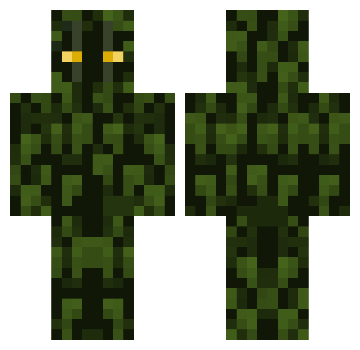 poepkiam Minecraft skin, front and back view