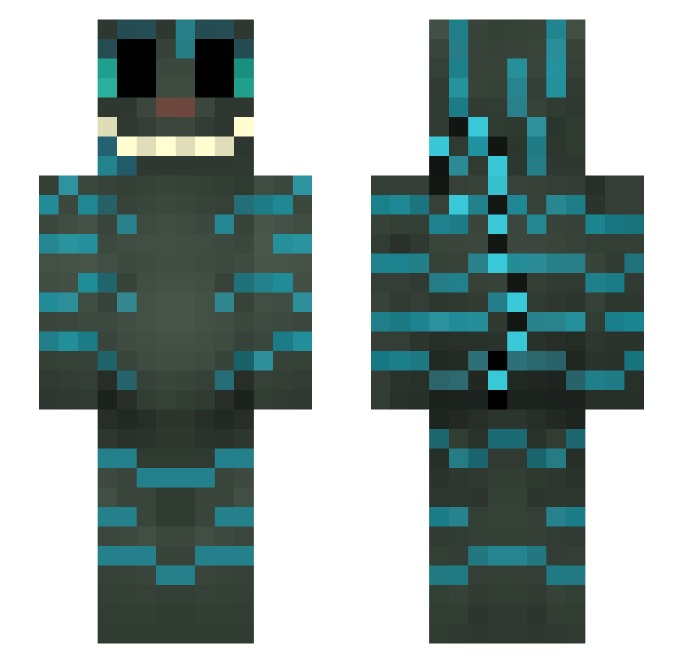 SgoddyBuddy Minecraft skin, front and back view