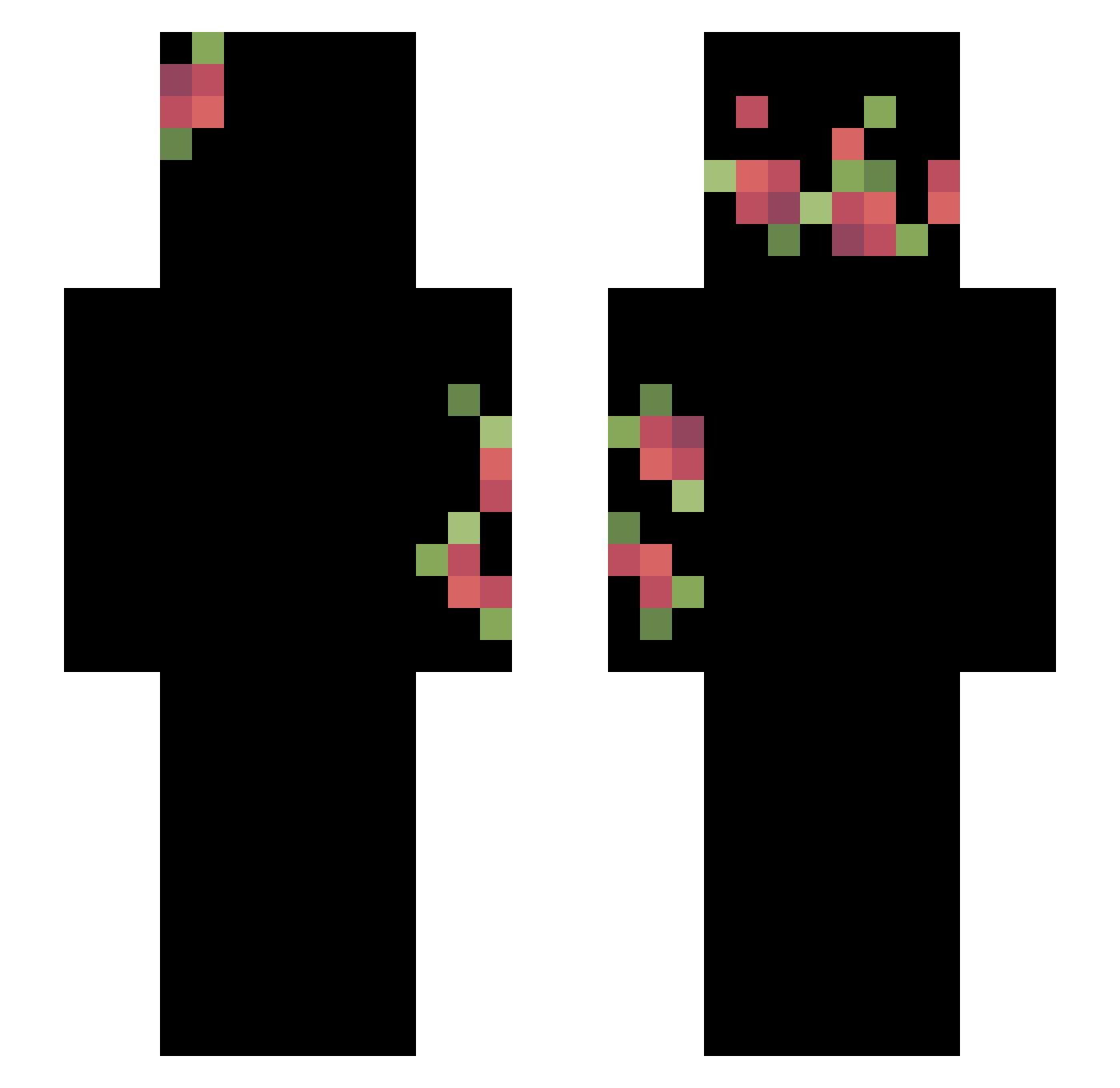 Jouplin Minecraft skin, front and back view