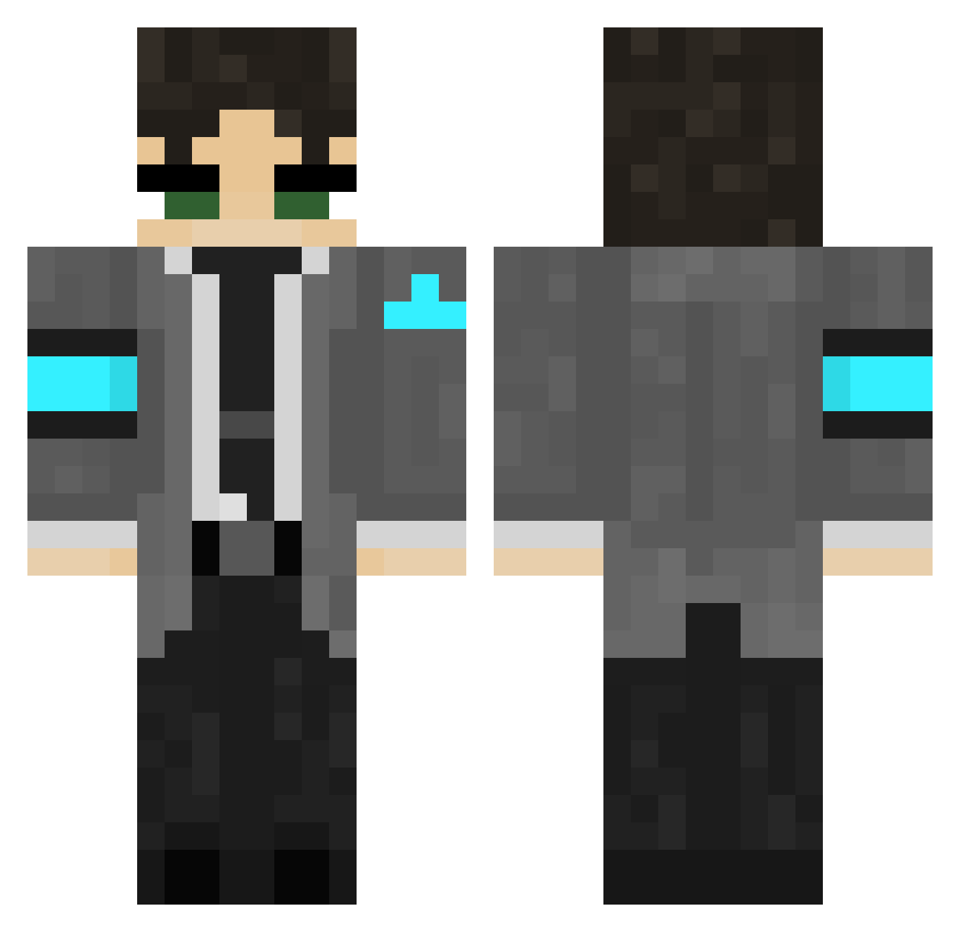 Ecr3visse Minecraft skin, front and back view