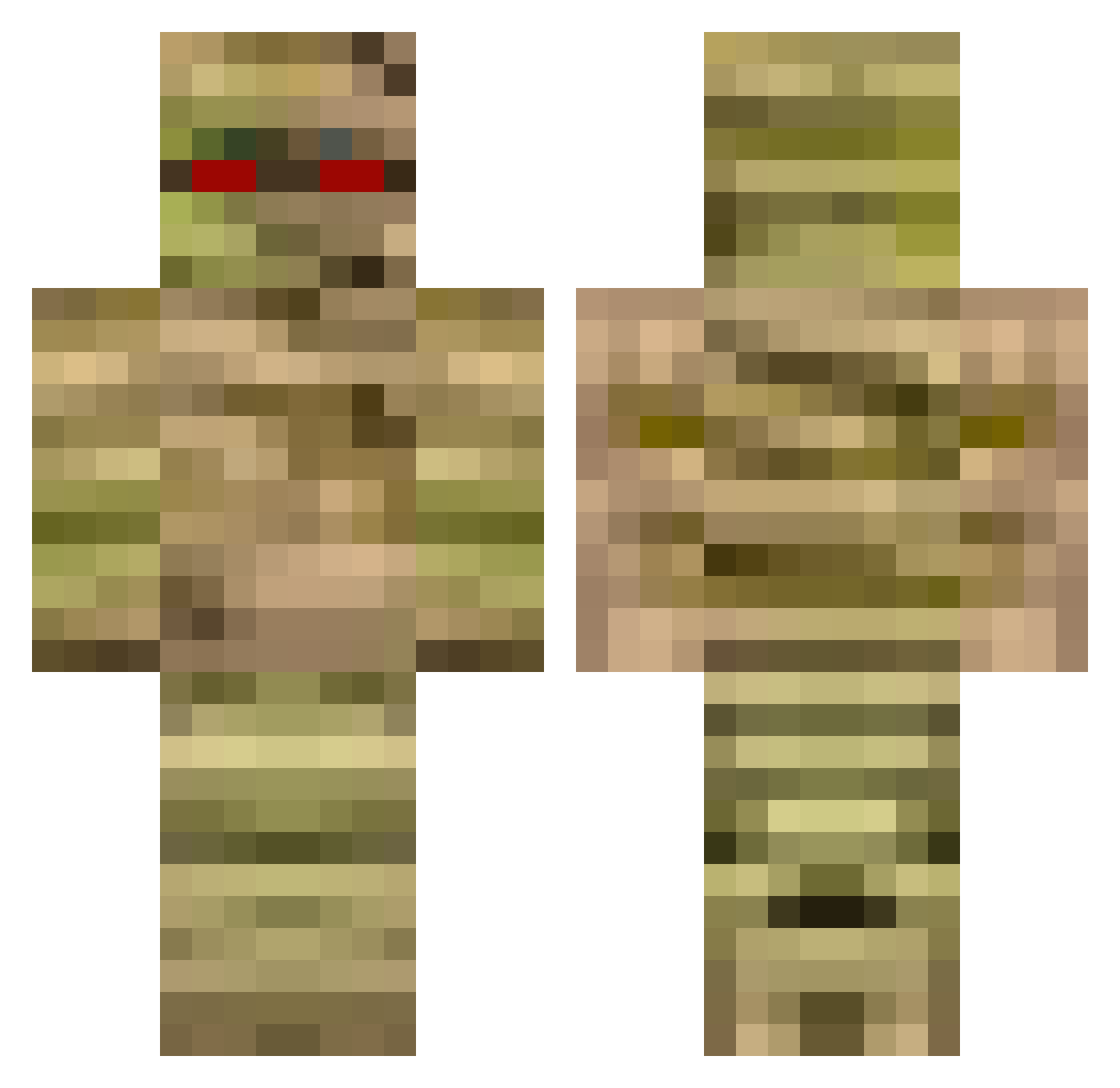 trtlneck Minecraft skin, front and back view