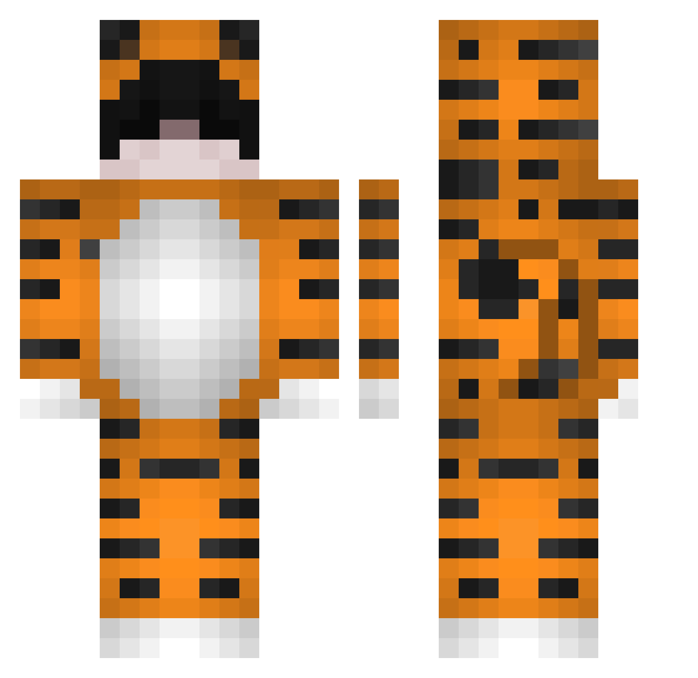 Tygrysiek__gg Minecraft skin, front and back view