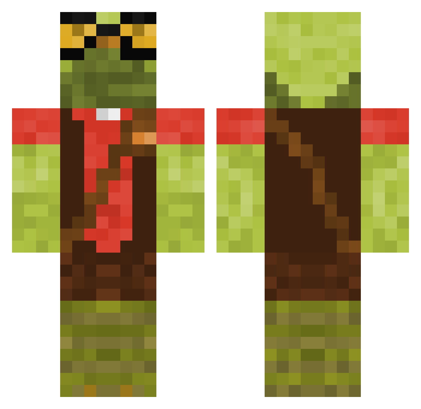 Pickle_Birb Minecraft skin, front and back view