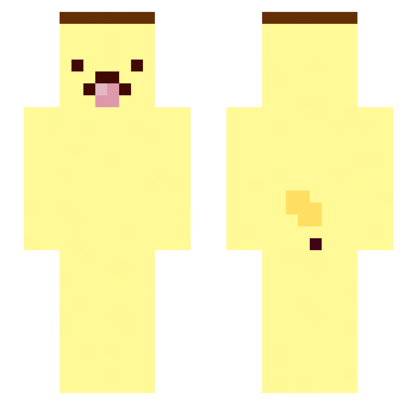 Cat_Craft_ Minecraft skin, front and back view