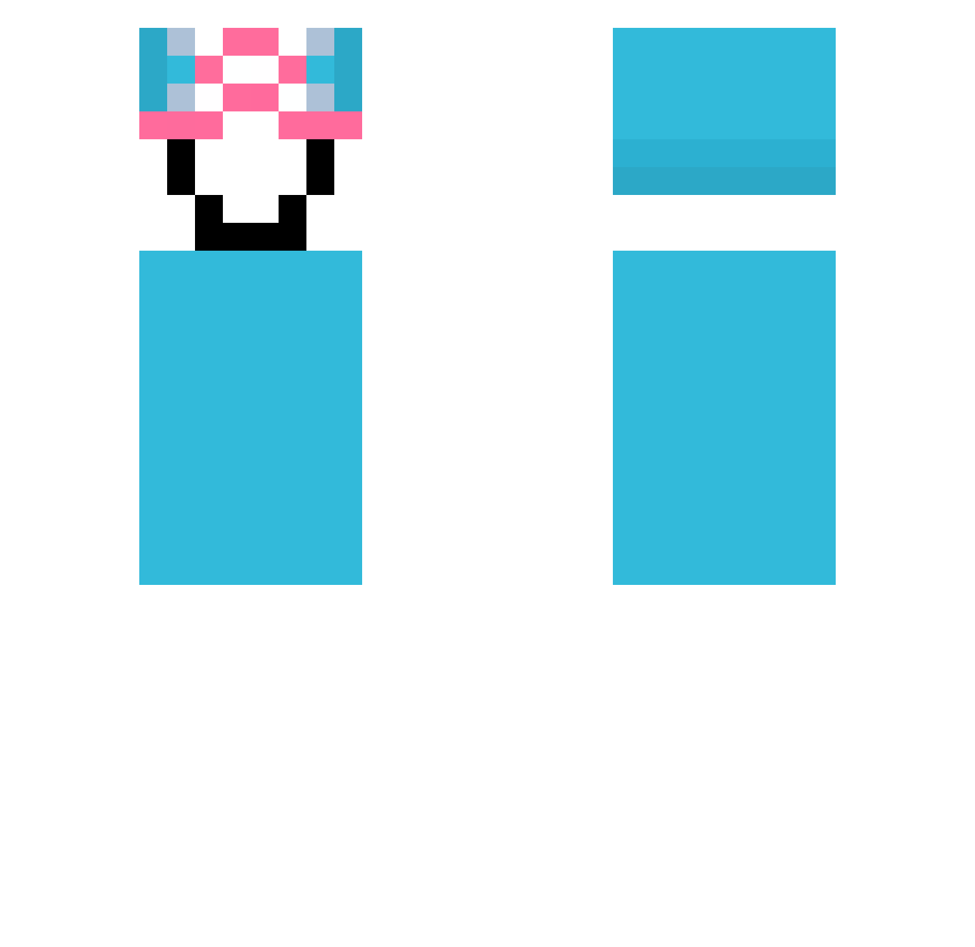 _Whitelisted Minecraft skin, front and back view