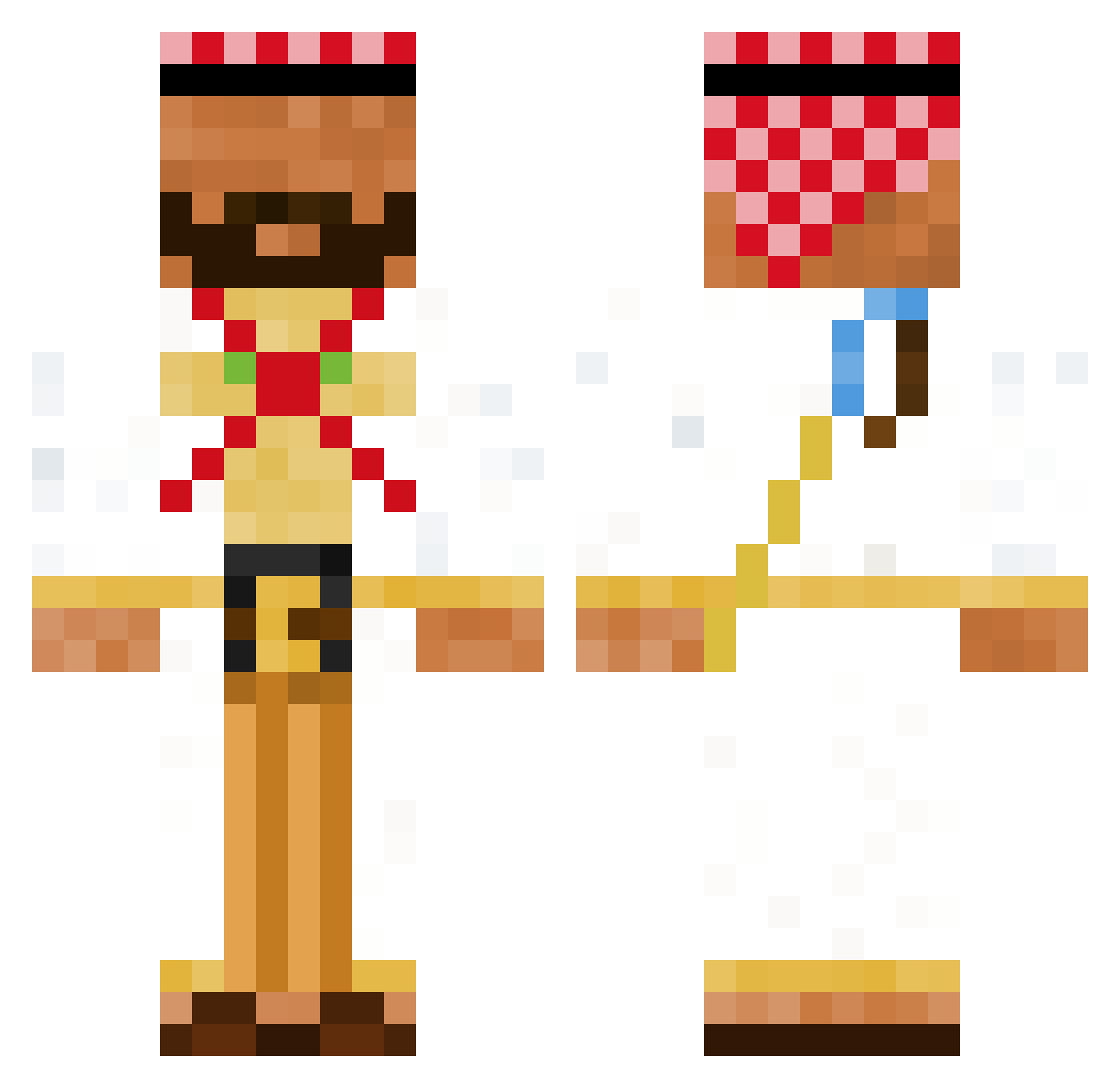 ninopinguin060 Minecraft skin, front and back view
