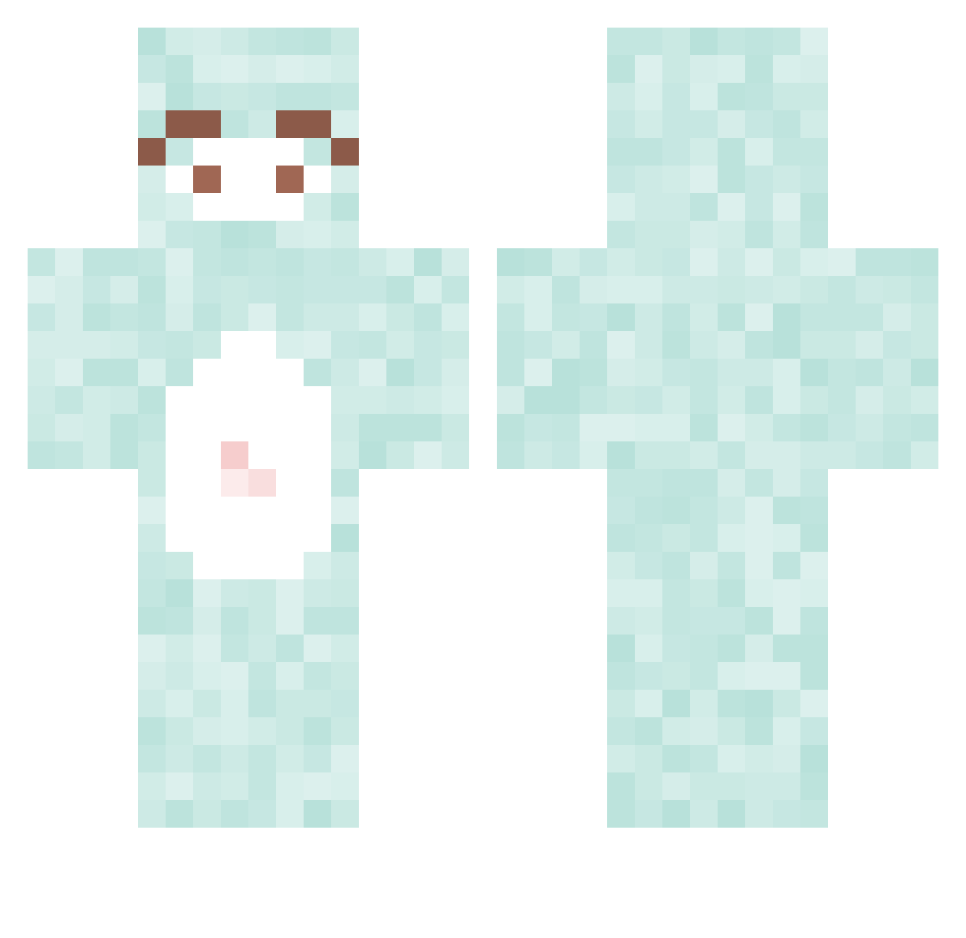 2321 Minecraft skin, front and back view