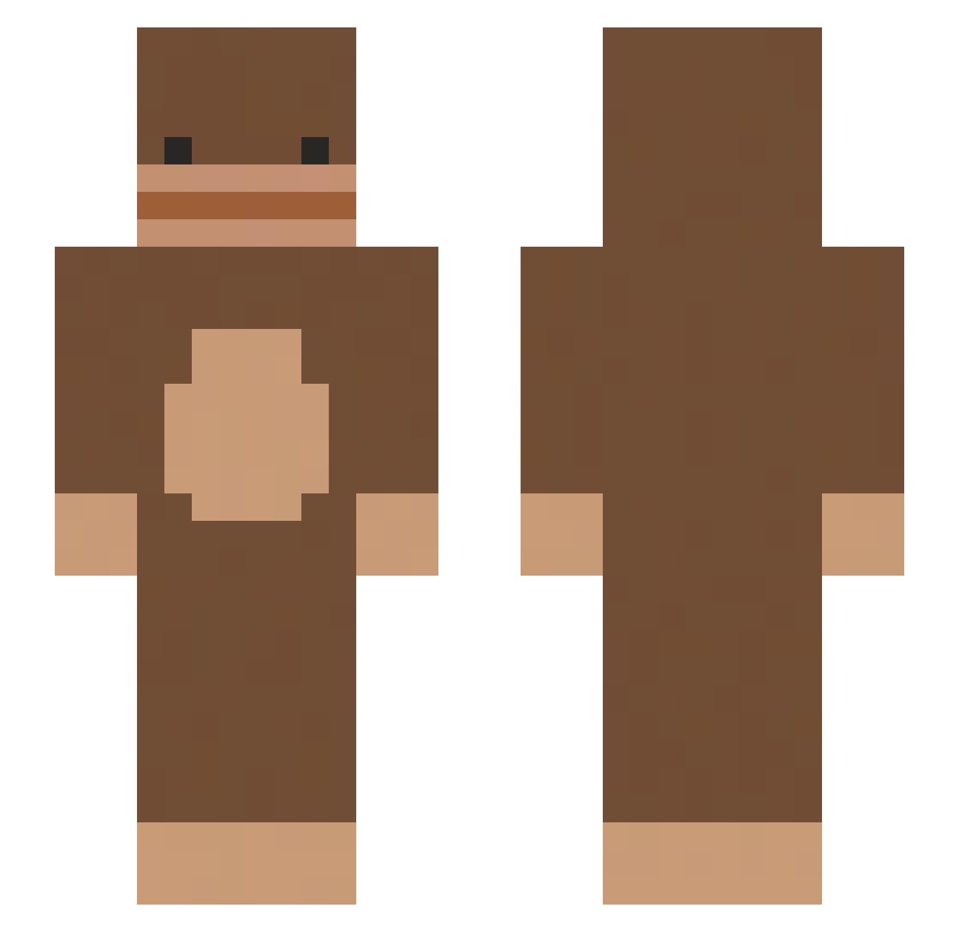 019832 Minecraft skin, front and back view