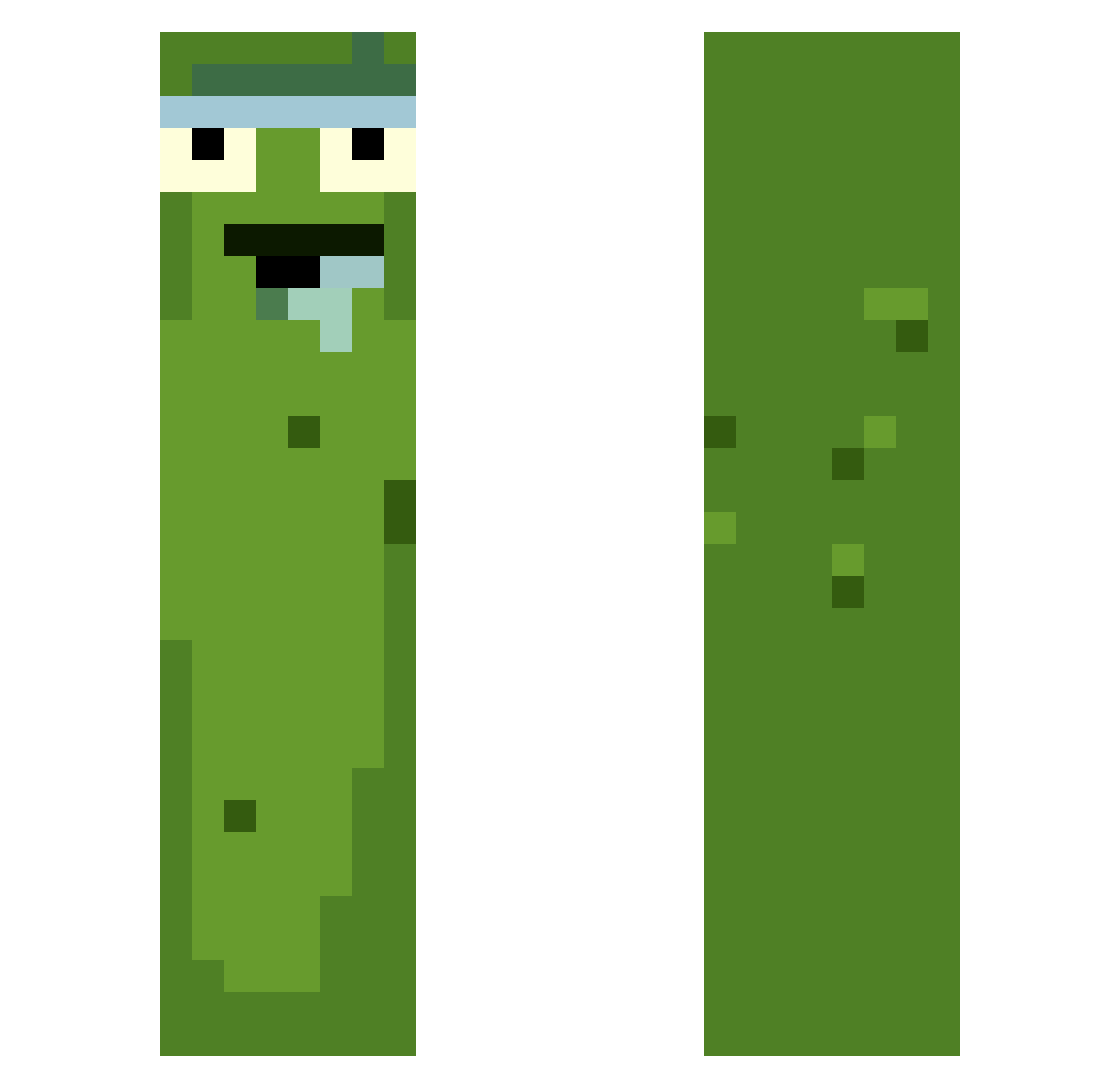 evolly Minecraft skin, front and back view