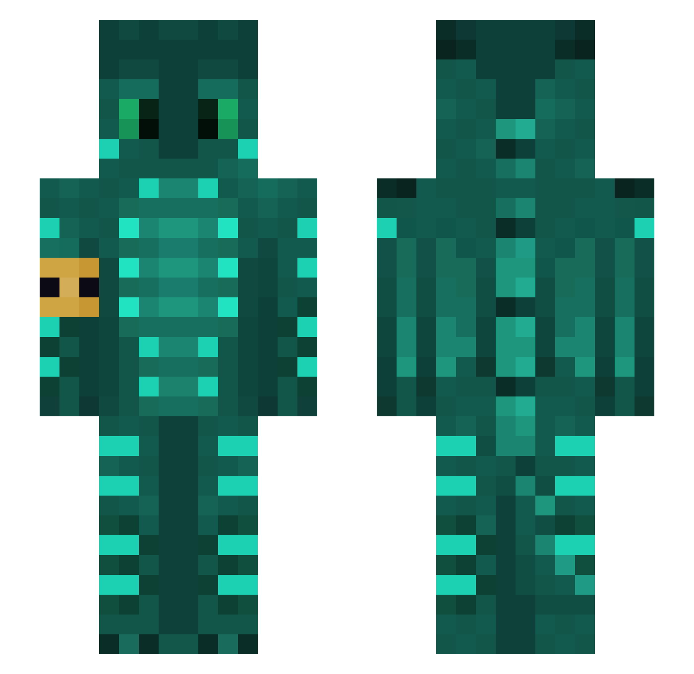 Polgara101 Minecraft skin, front and back view
