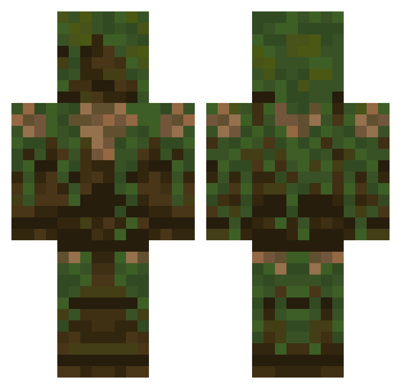 Seldslyn Minecraft skin, front and back view