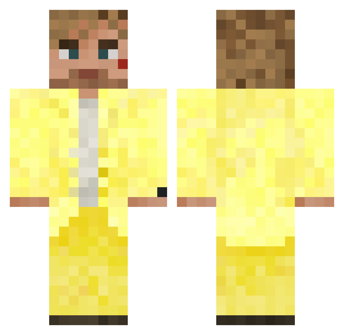 zyazee Minecraft skin, front and back view