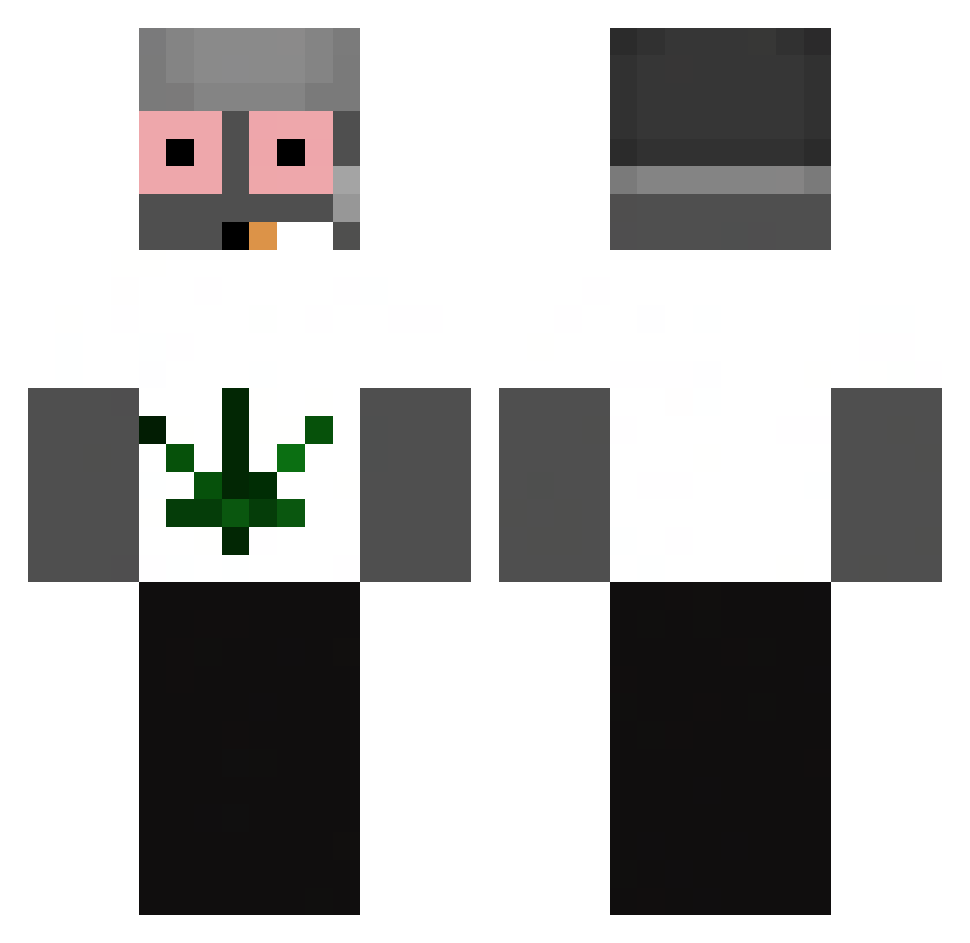 Pryola Minecraft skin, front and back view