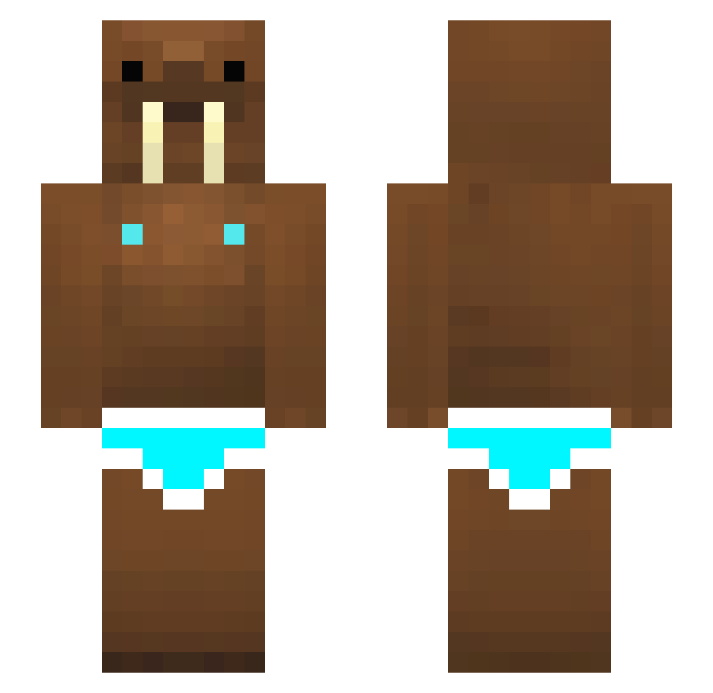 Crusader Minecraft skin, front and back view
