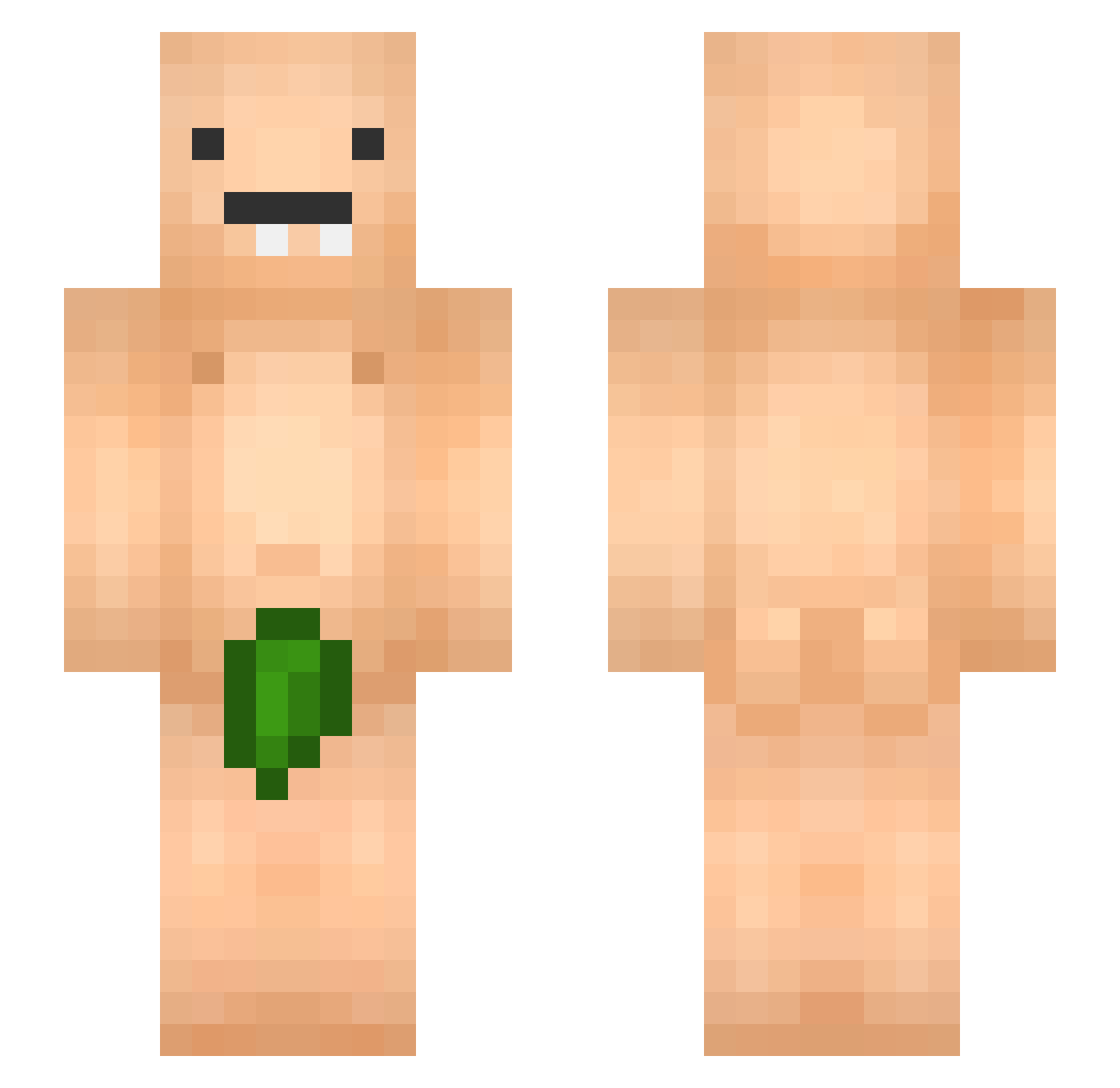 D37 Minecraft skin, front and back view