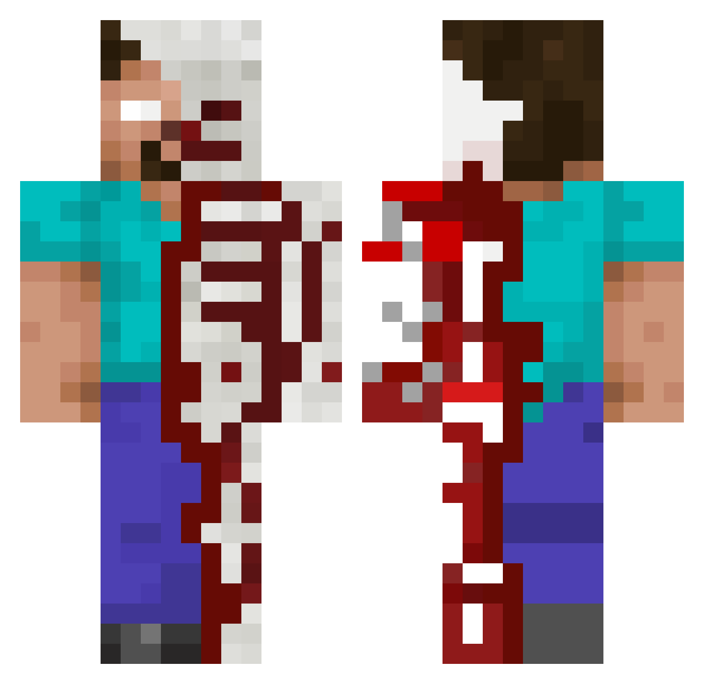 cctv69 Minecraft skin, front and back view