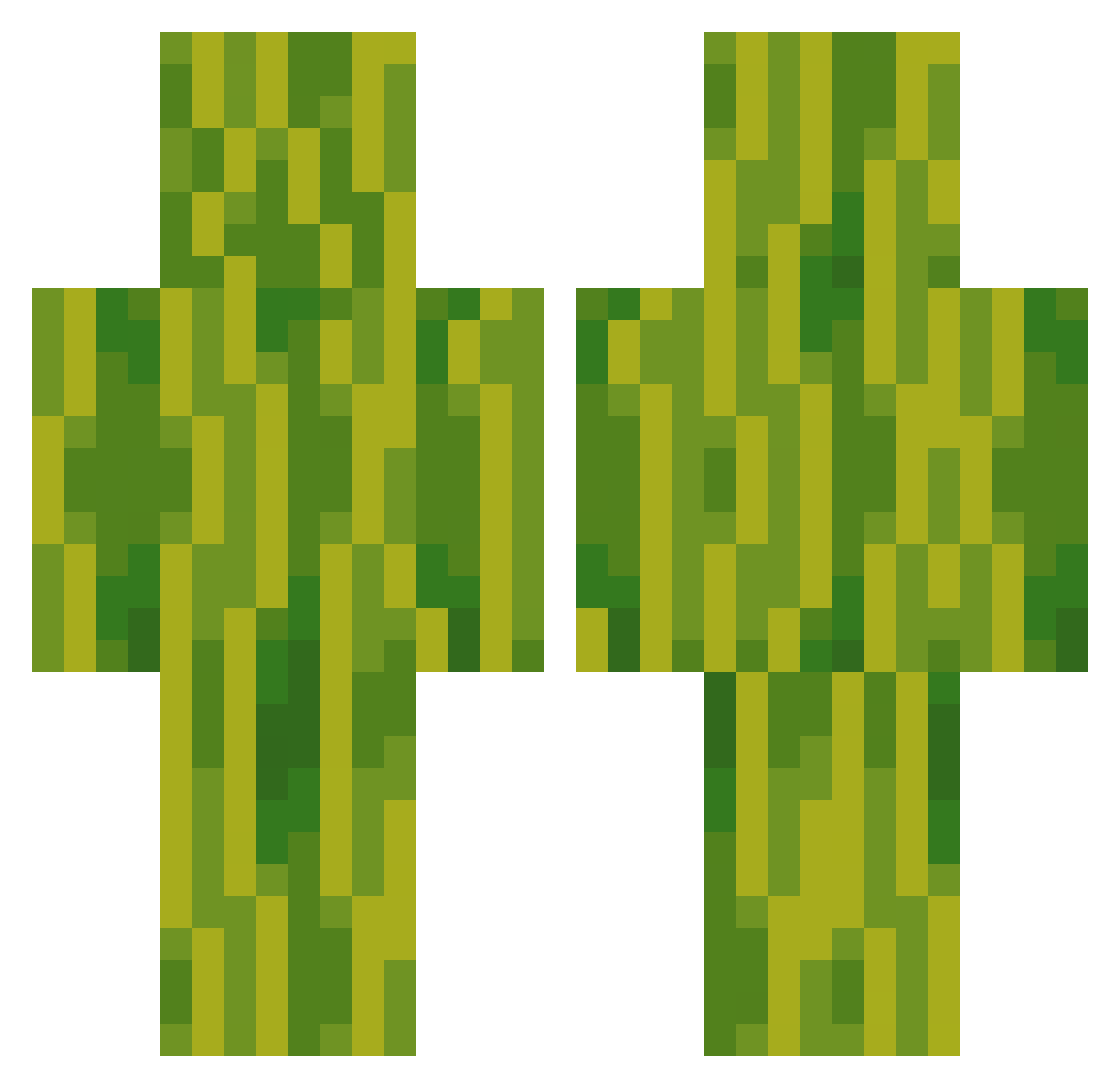 leoooooo81 Minecraft skin, front and back view