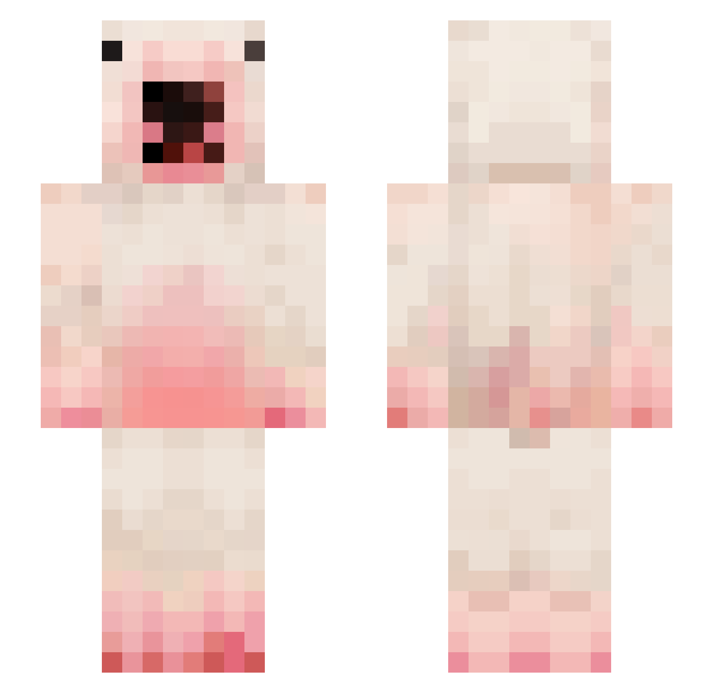 FuzzyHopper Minecraft skin, front and back view