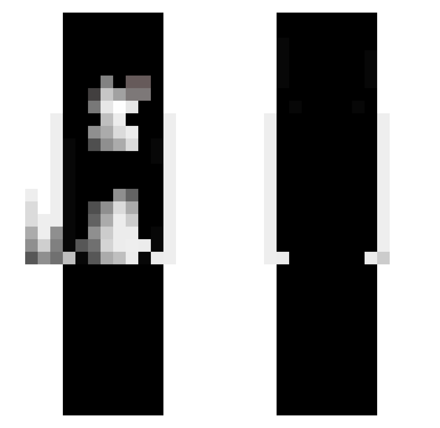 zerocortisol Minecraft skin, front and back view