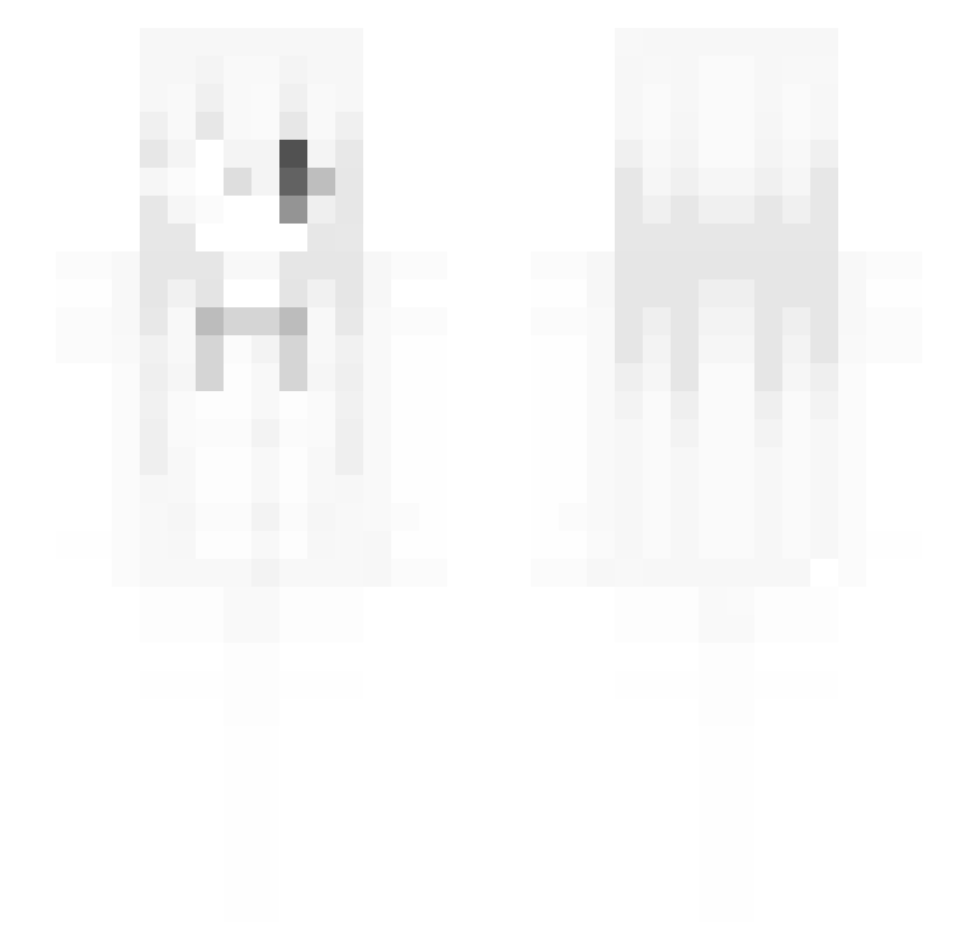 1953_ Minecraft skin, front and back view