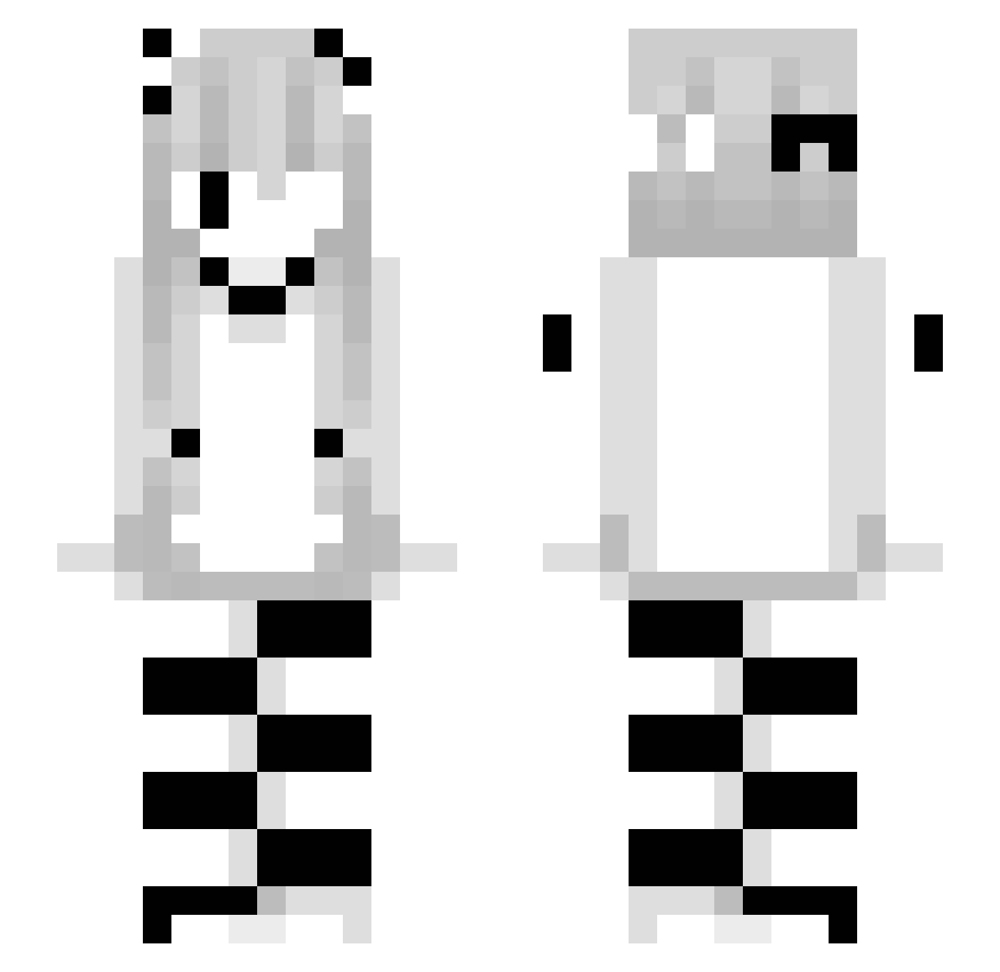 aylinsigmagirl Minecraft skin, front and back view