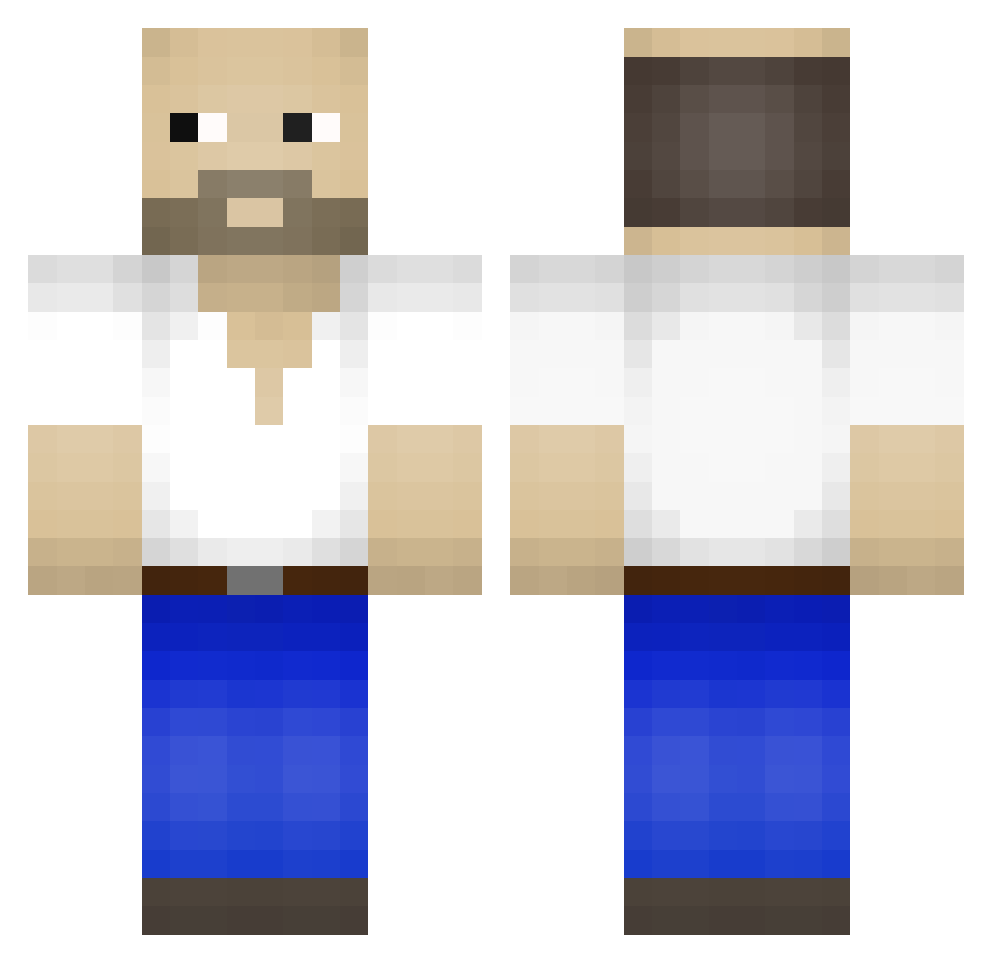 Torapier Minecraft skin, front and back view