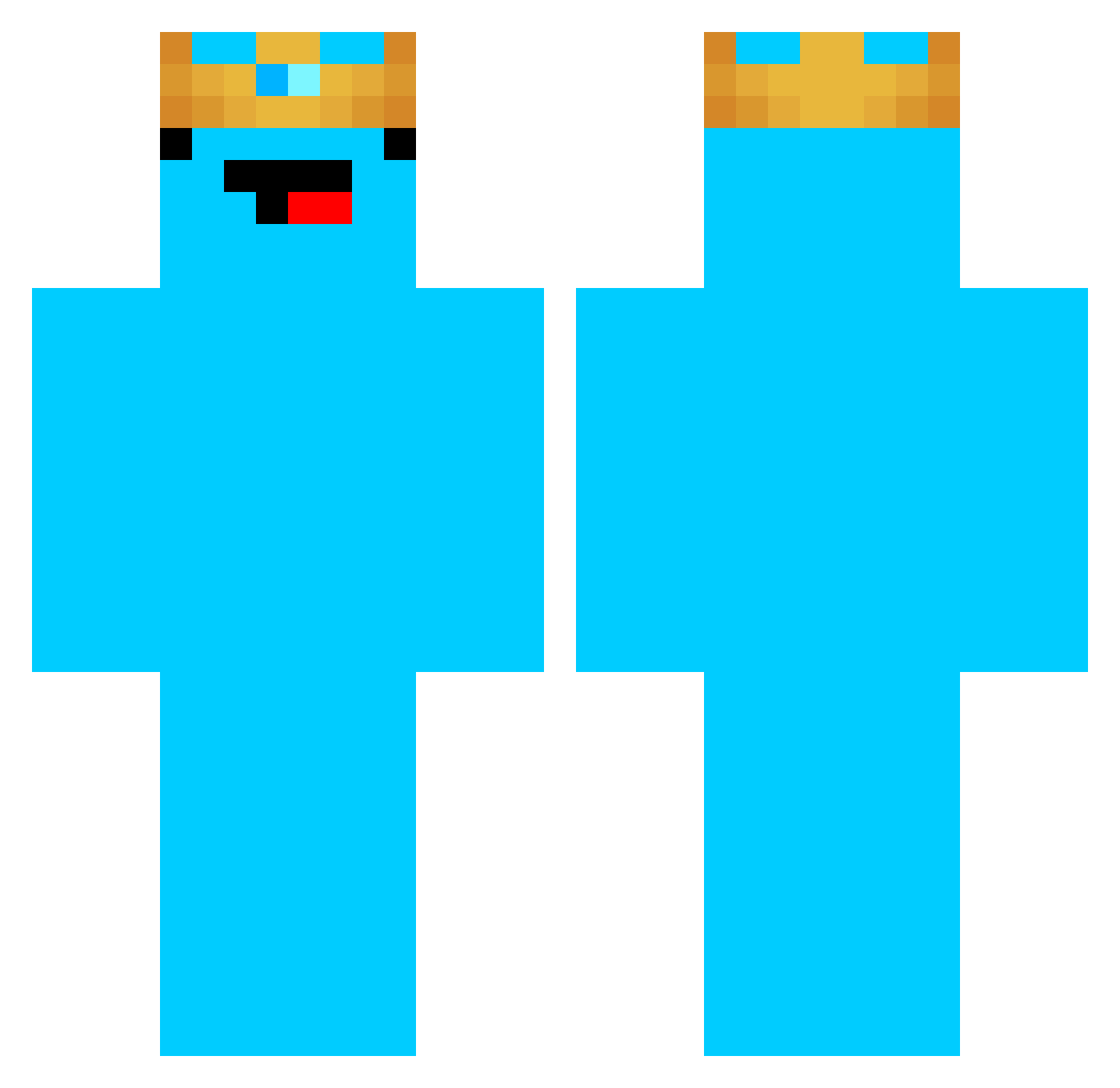 Plechyy Minecraft skin, front and back view